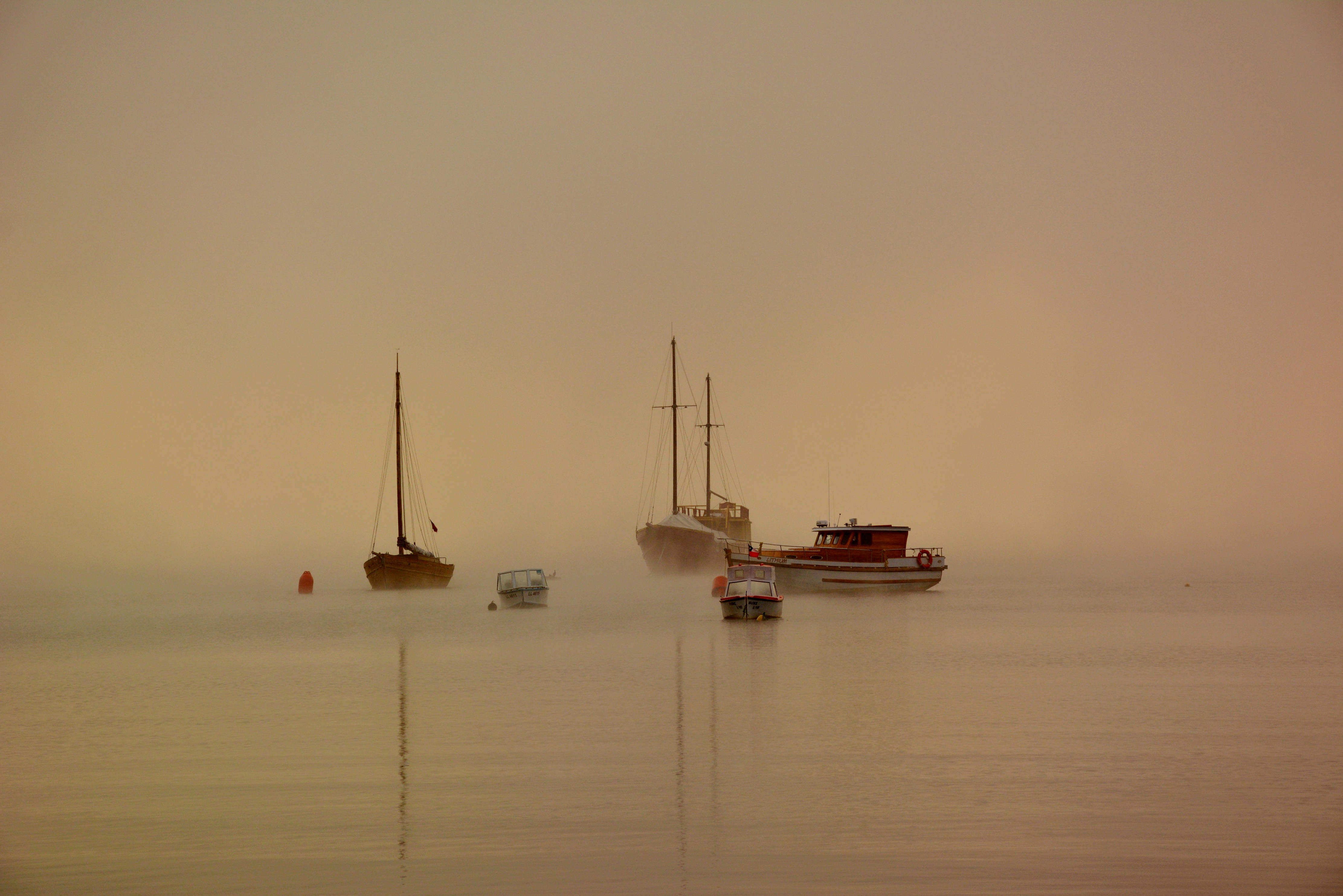 Photo by moniquedelsur