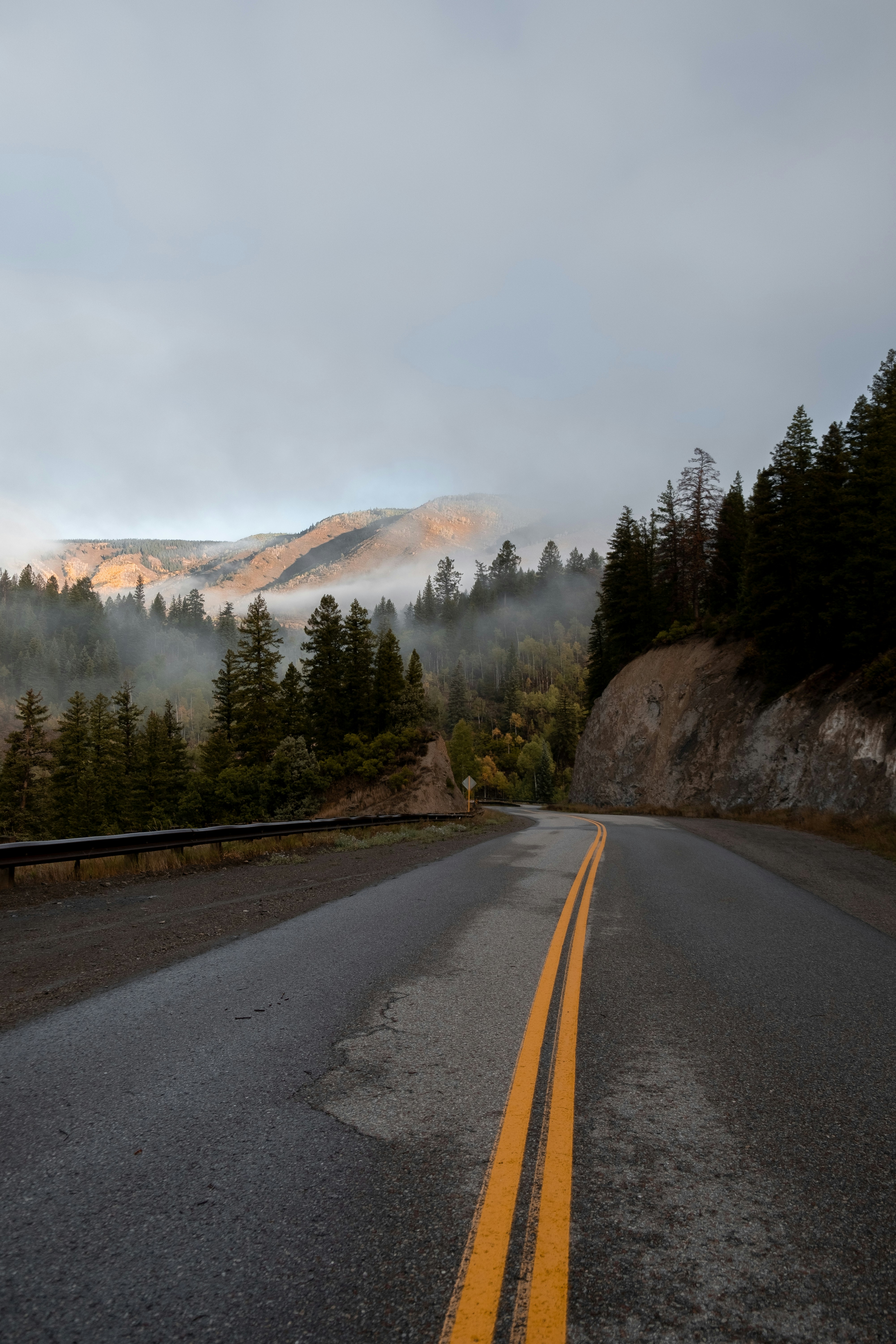 Photo by samsheppardphoto