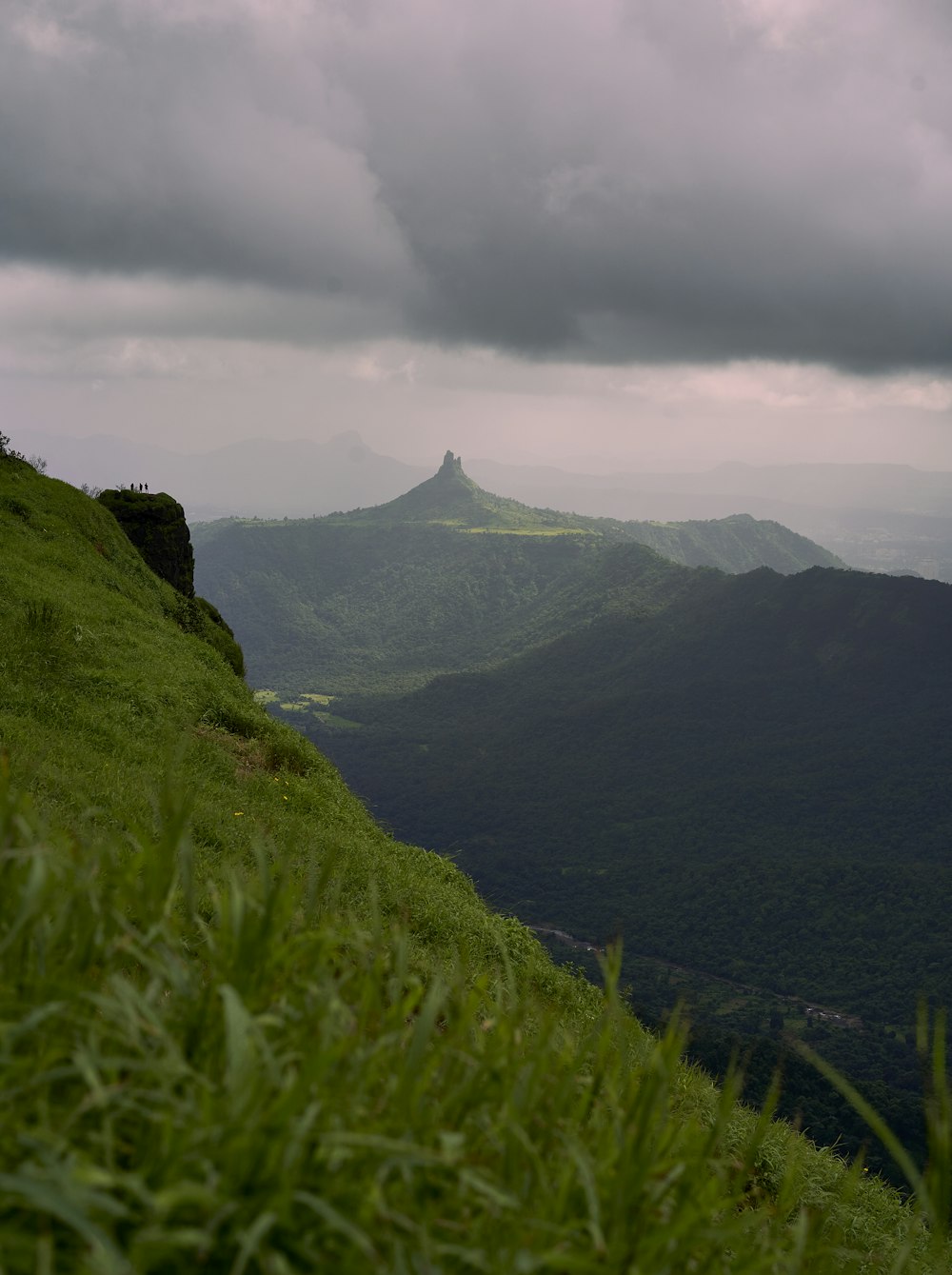 a grassy hill with a mountain in the background