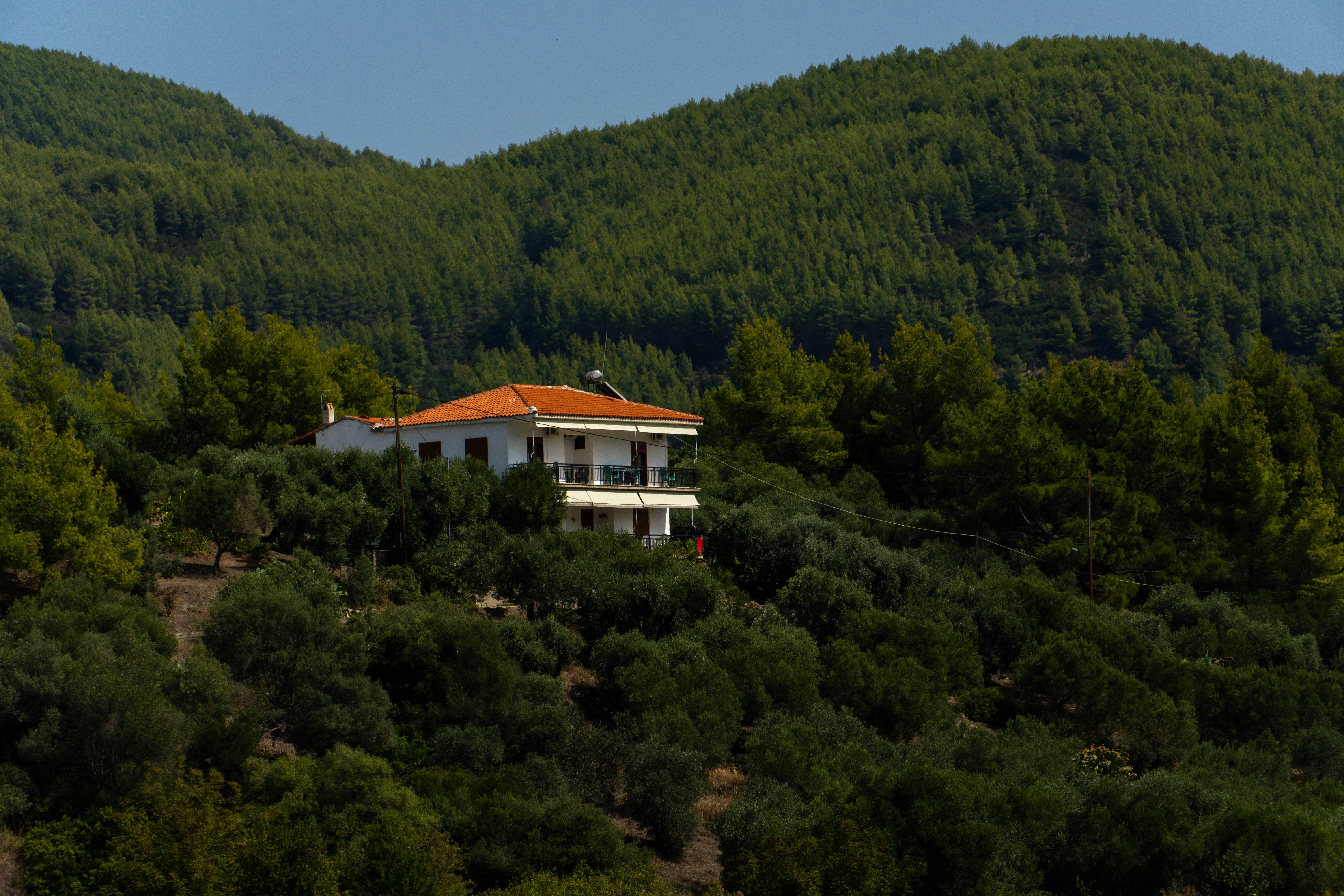 Photo by lostillusion