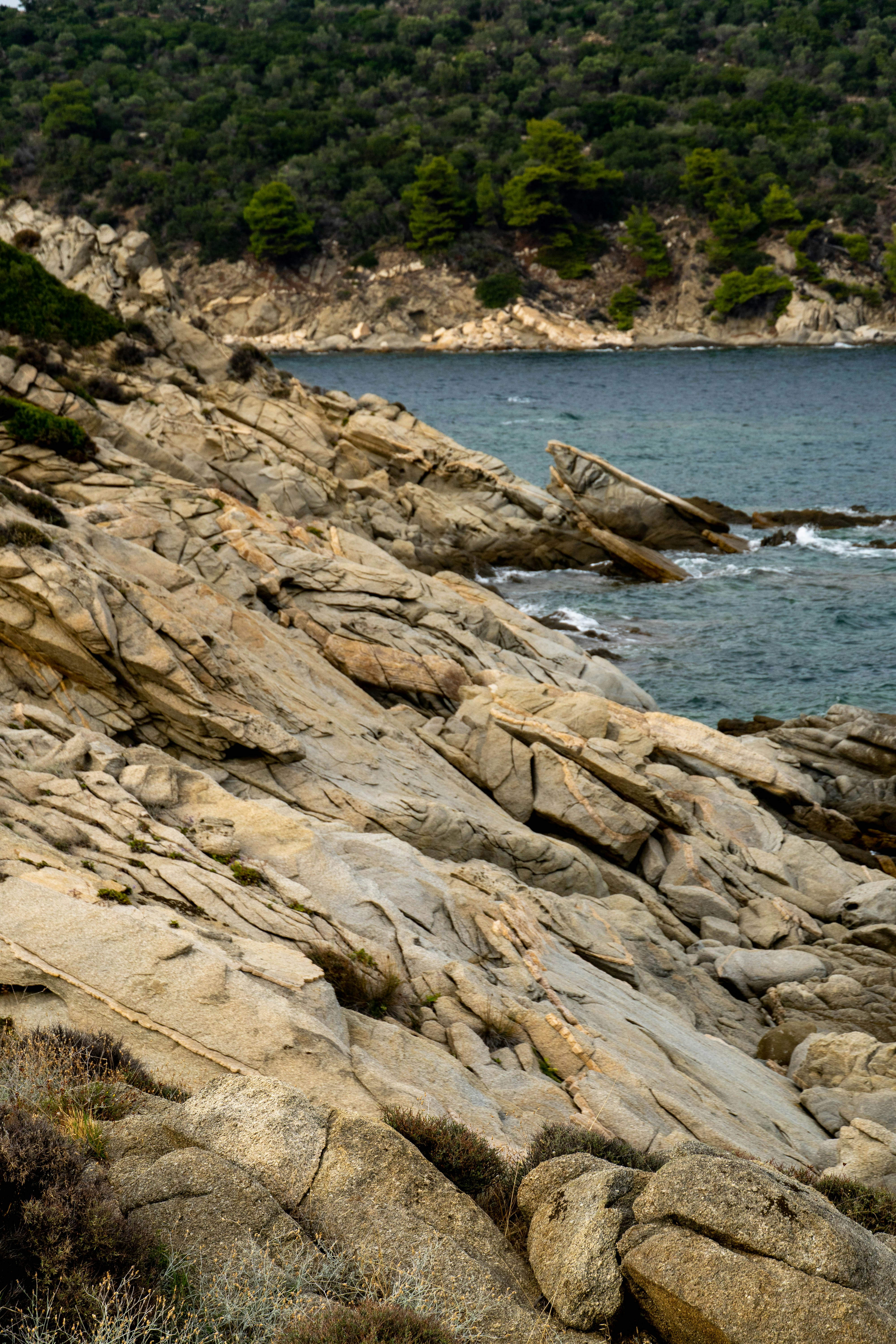 Photo by lostillusion