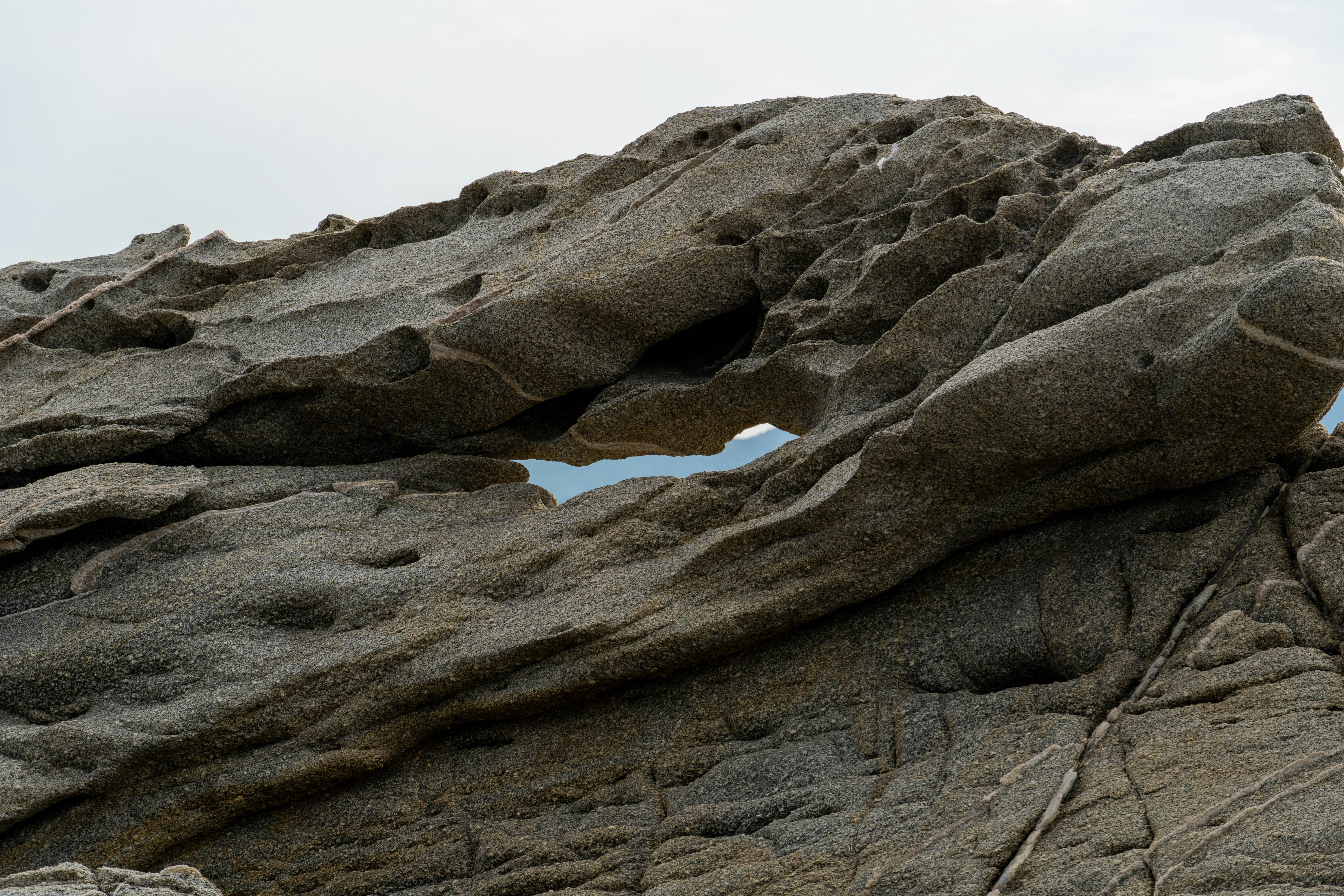 Photo by lostillusion