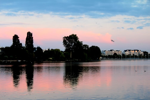 A tranquil lakeside scene at dusk, with calm water reflecting the vibrant sunset and silhouettes of wild birds.