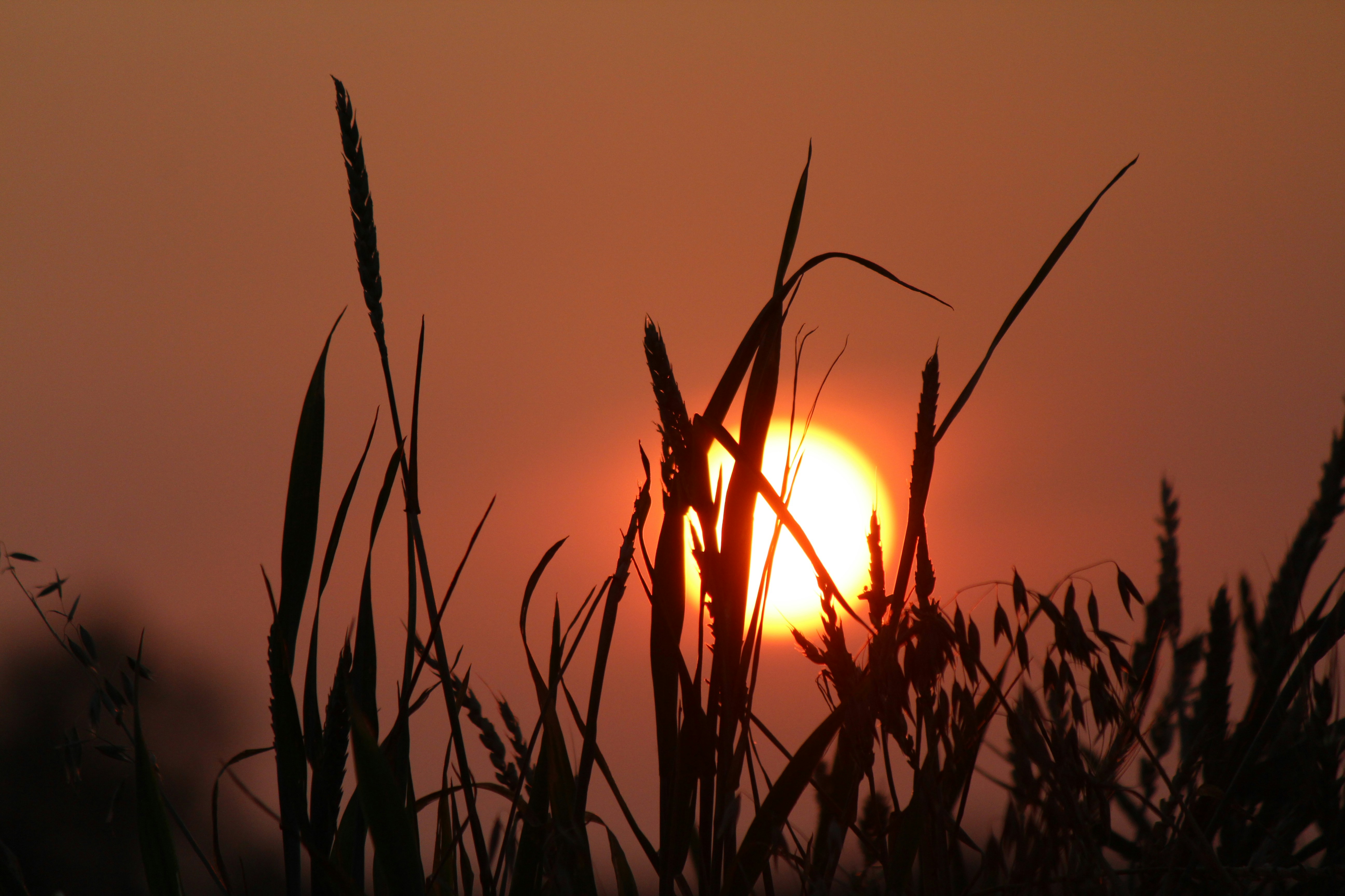 Photo by haim_charbit18