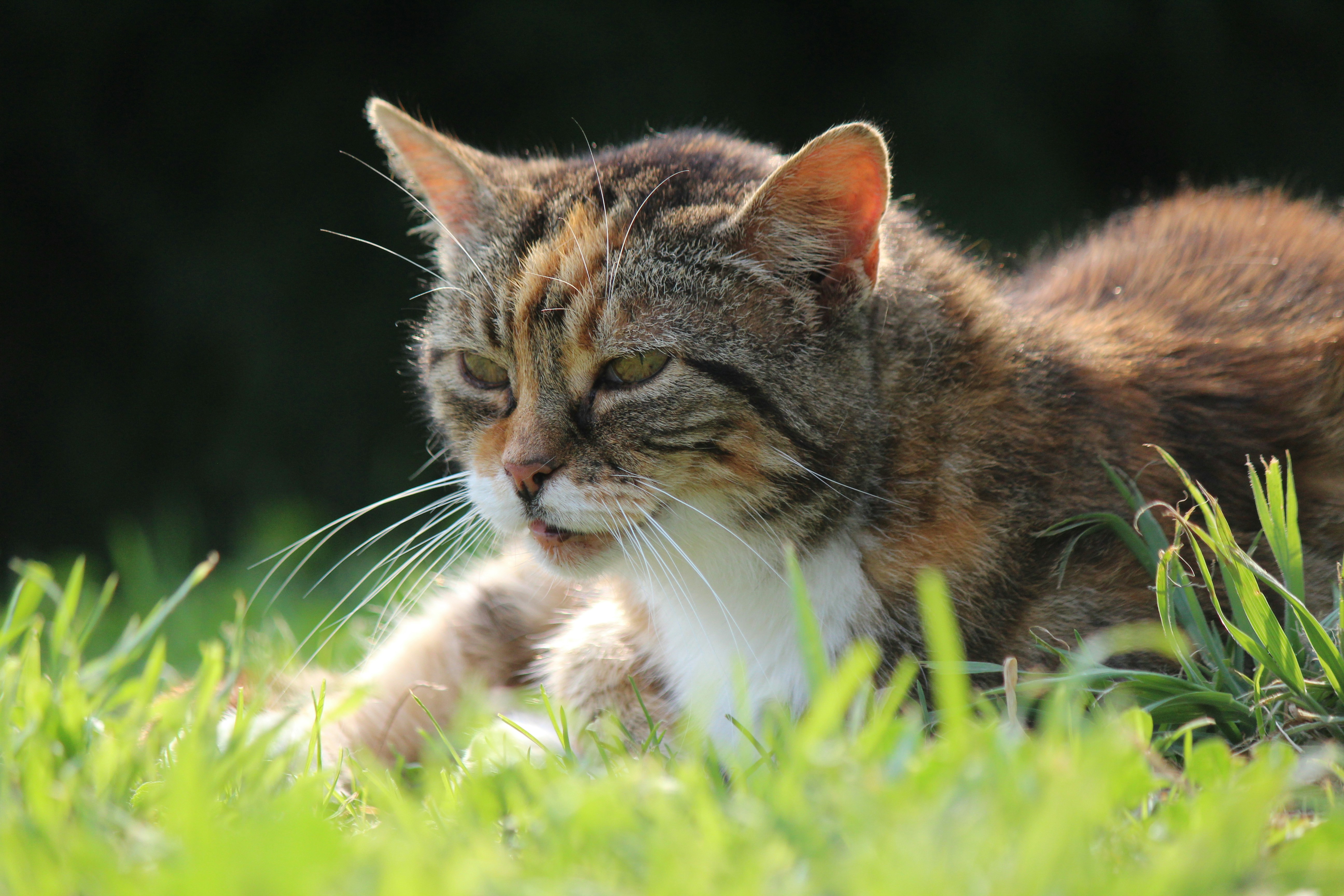 Photo by haim_charbit18