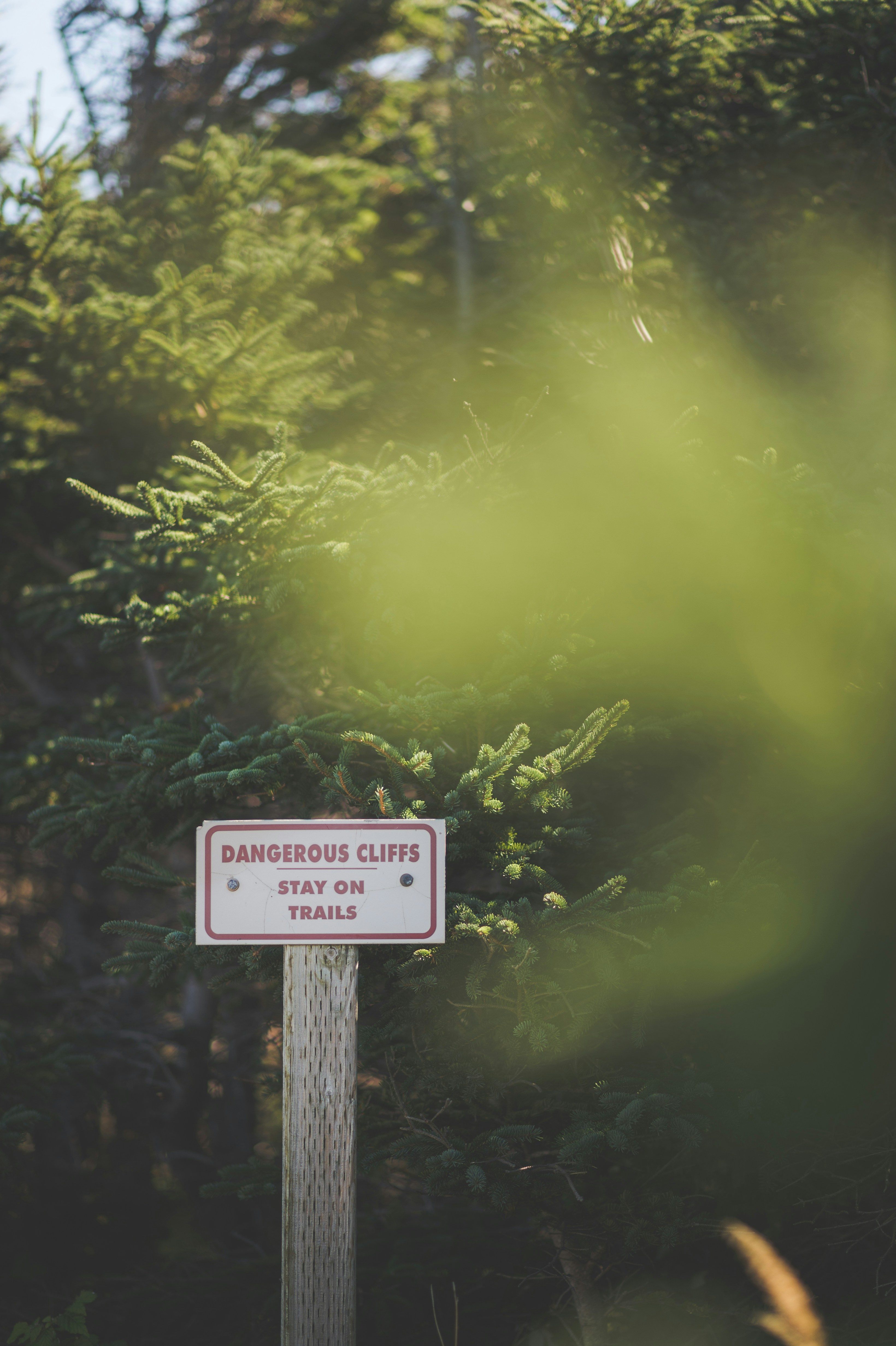 Photo by porkbellysteve