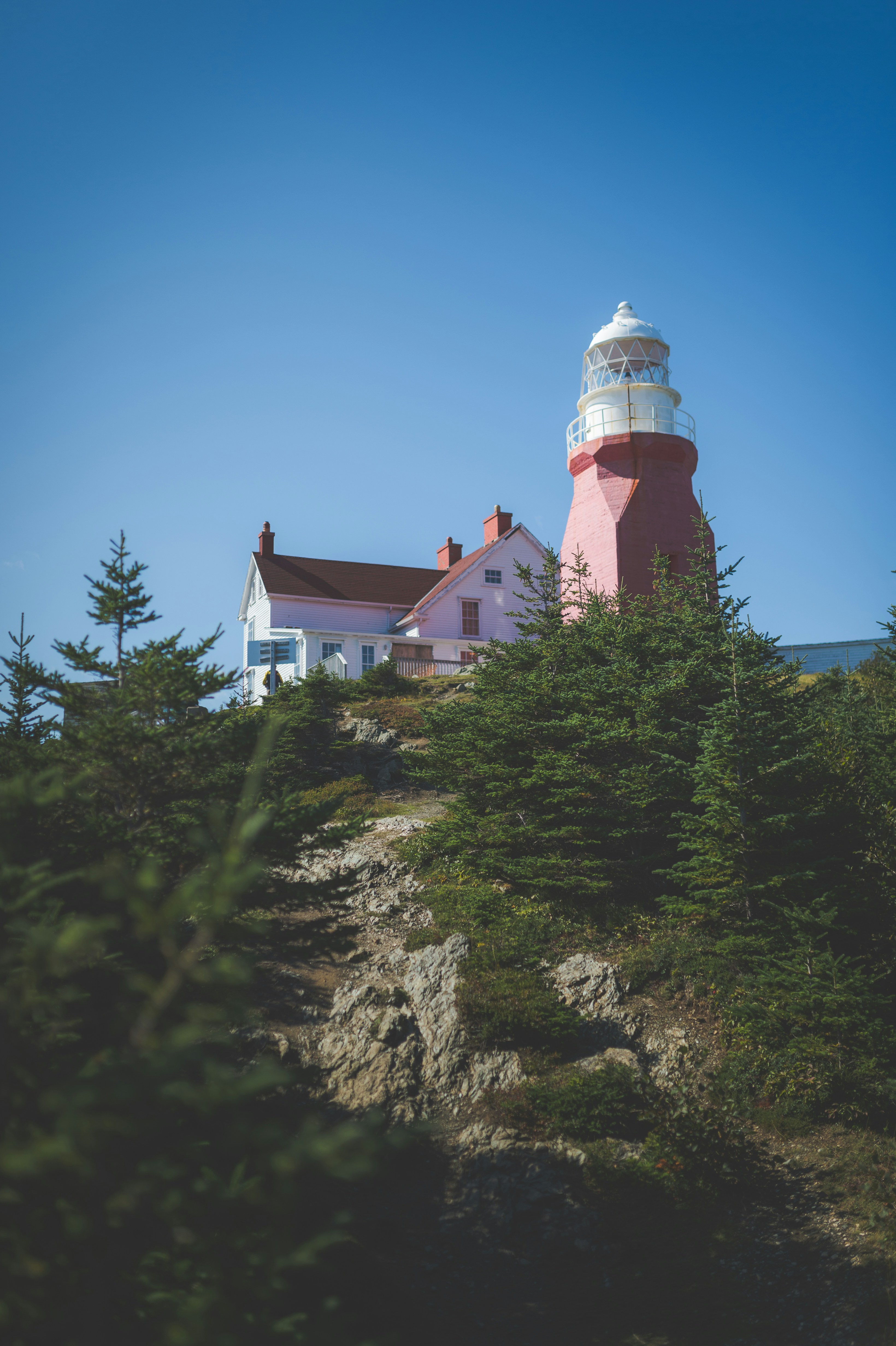 Photo by porkbellysteve