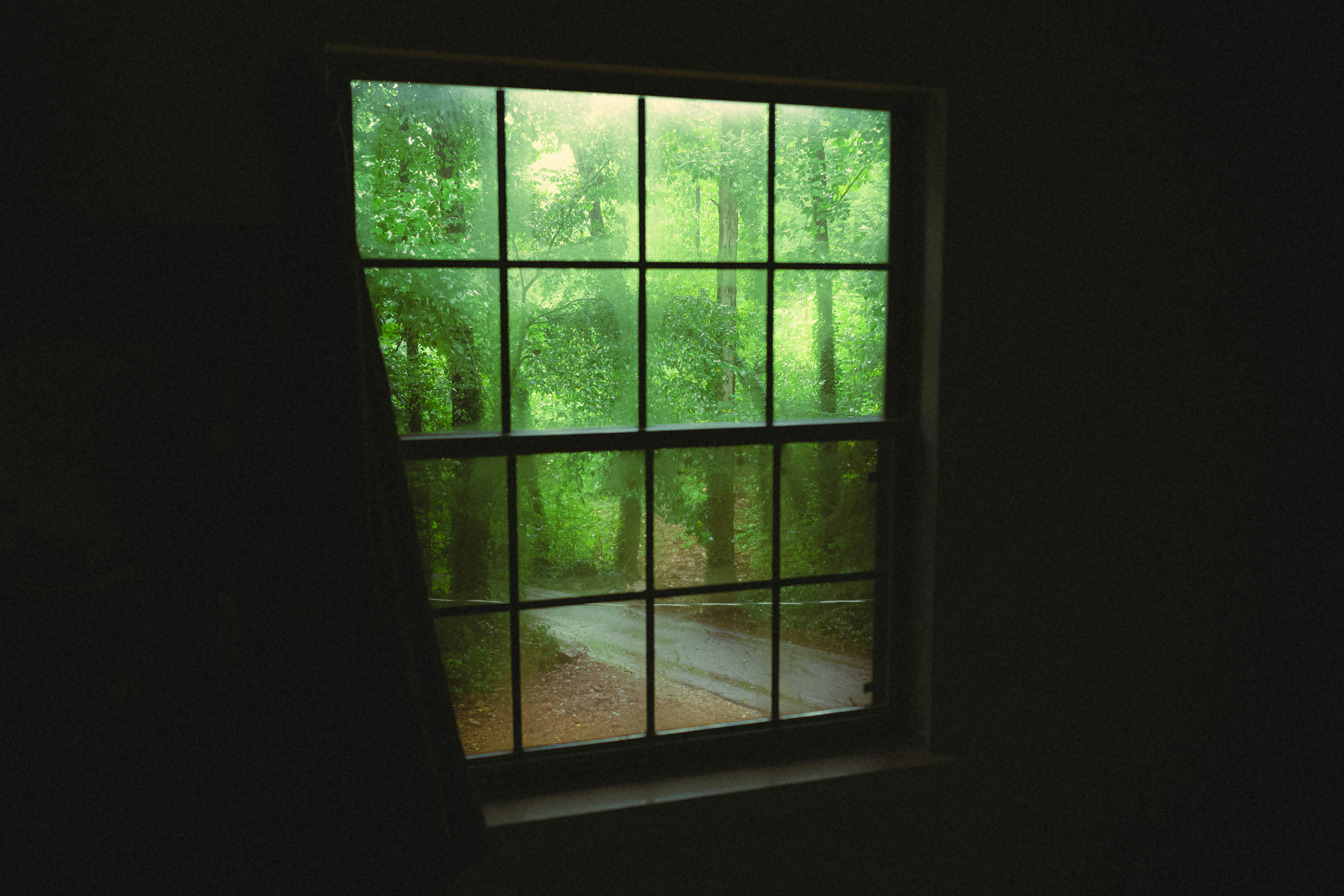 a window with a view of a forest outside
