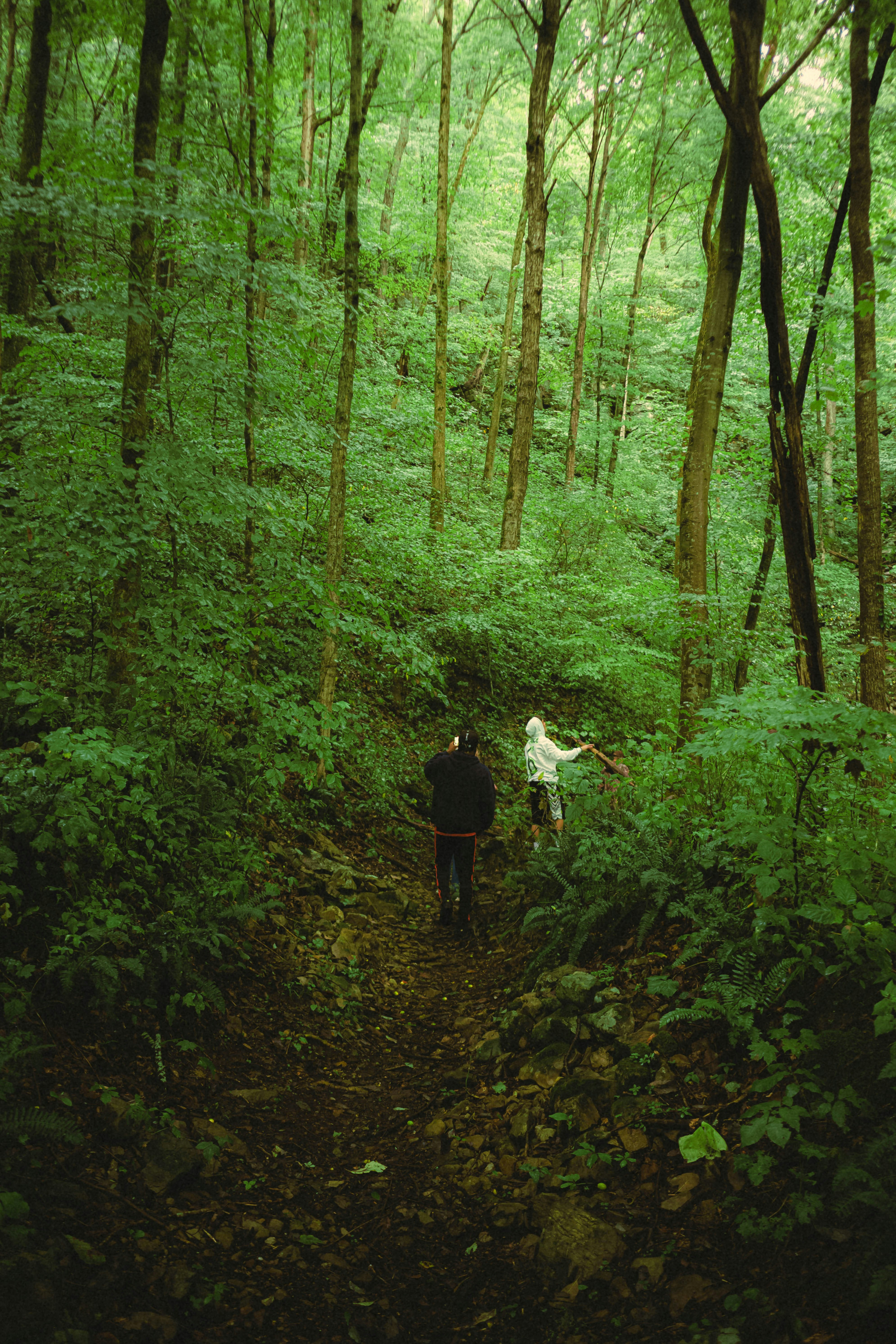 Photo by noorvoux