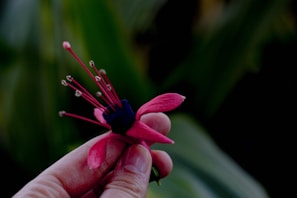 Hand holding a pastel pink and cream crochet flower with blurred background