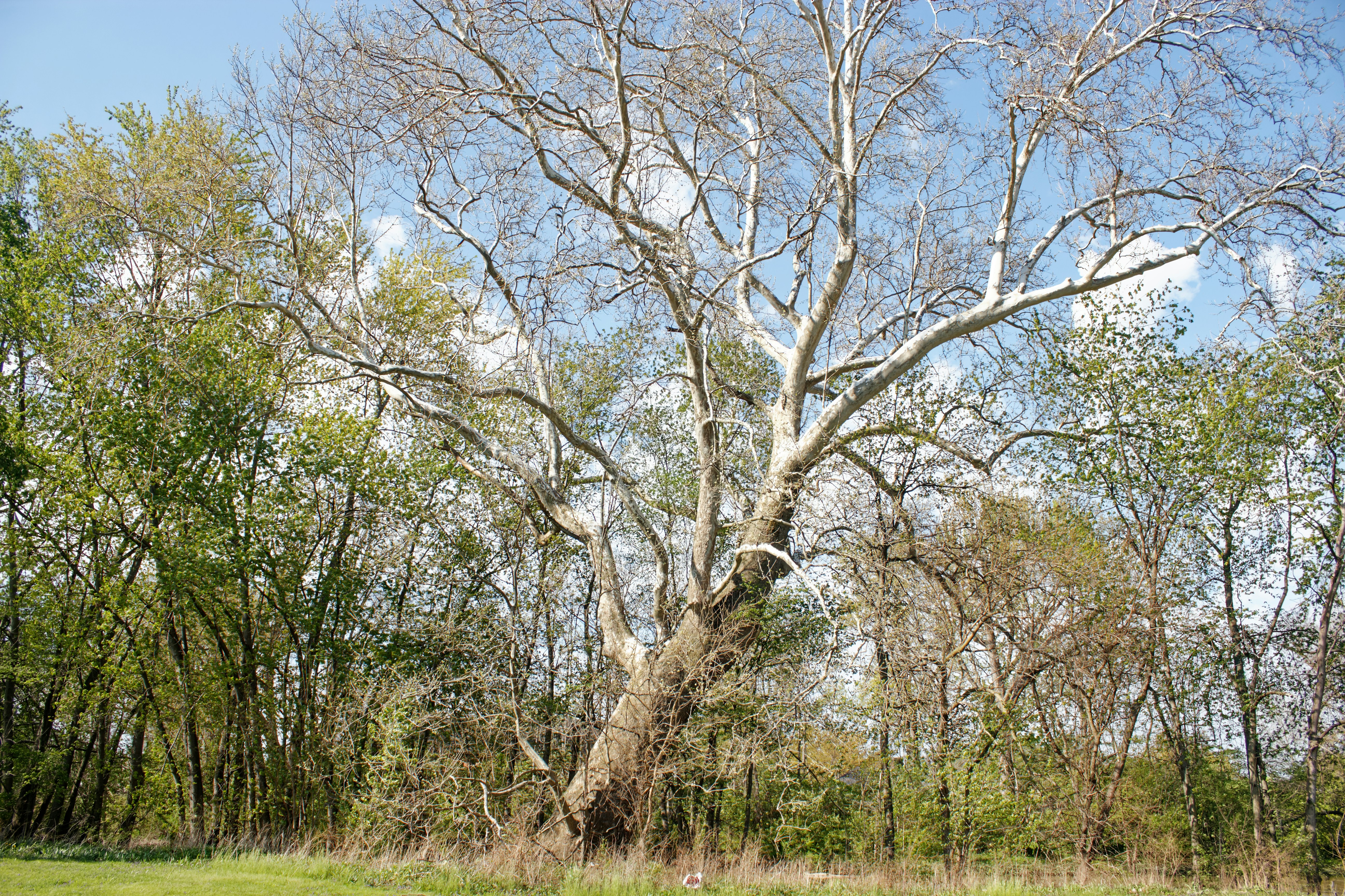 Photo by mrgreatheart