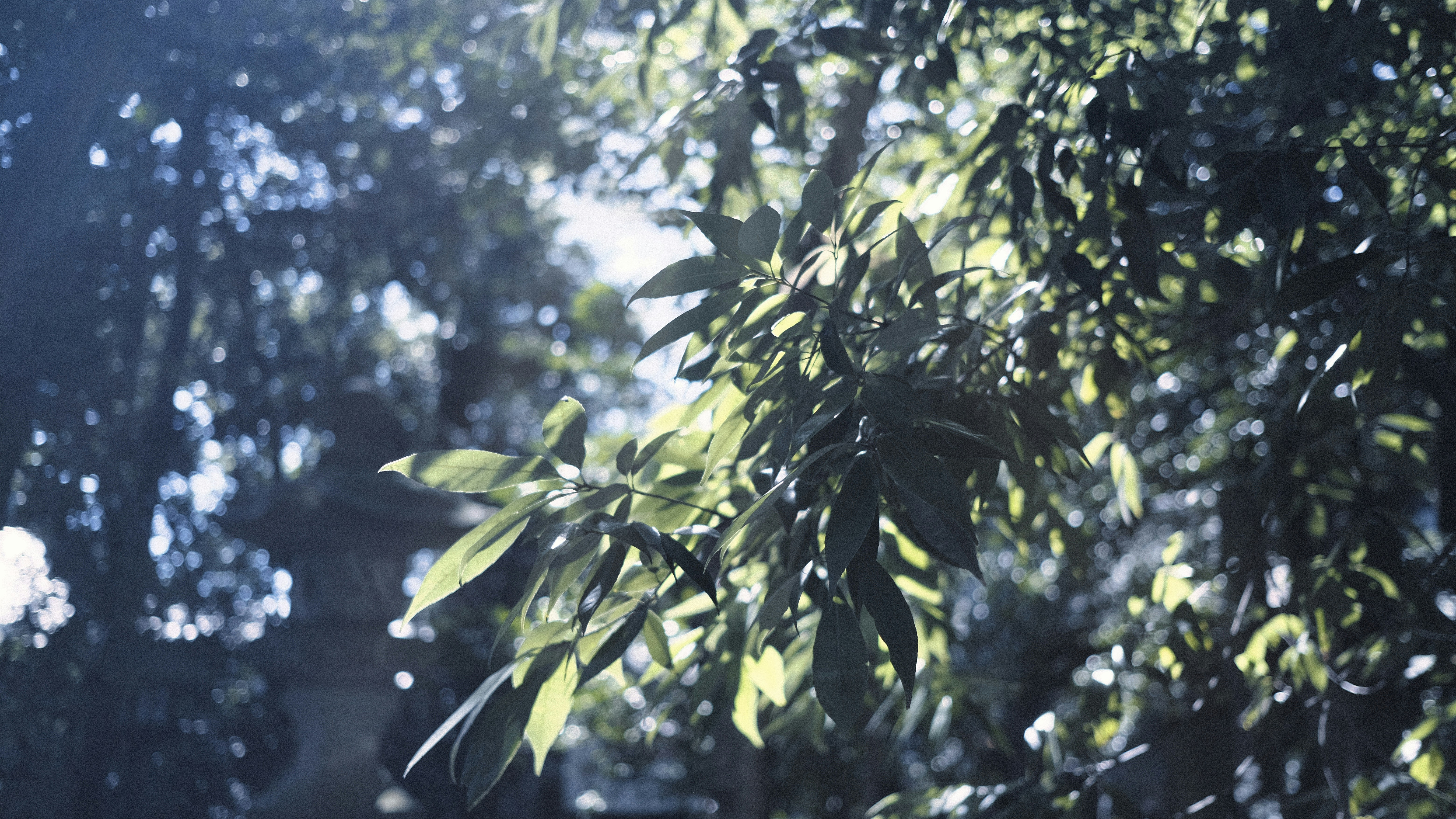 Photo by okuyama_leo