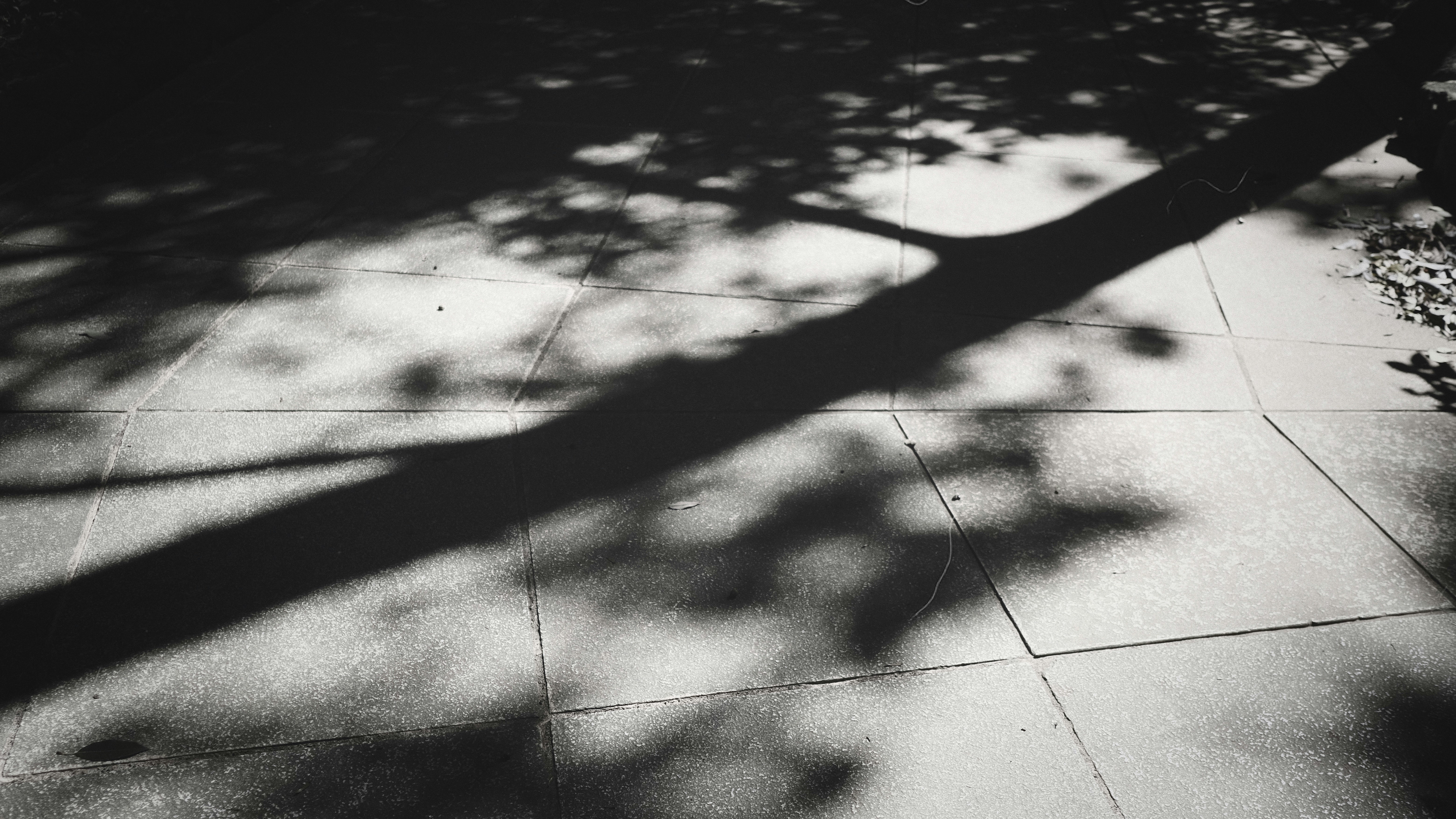 Photo by okuyama_leo