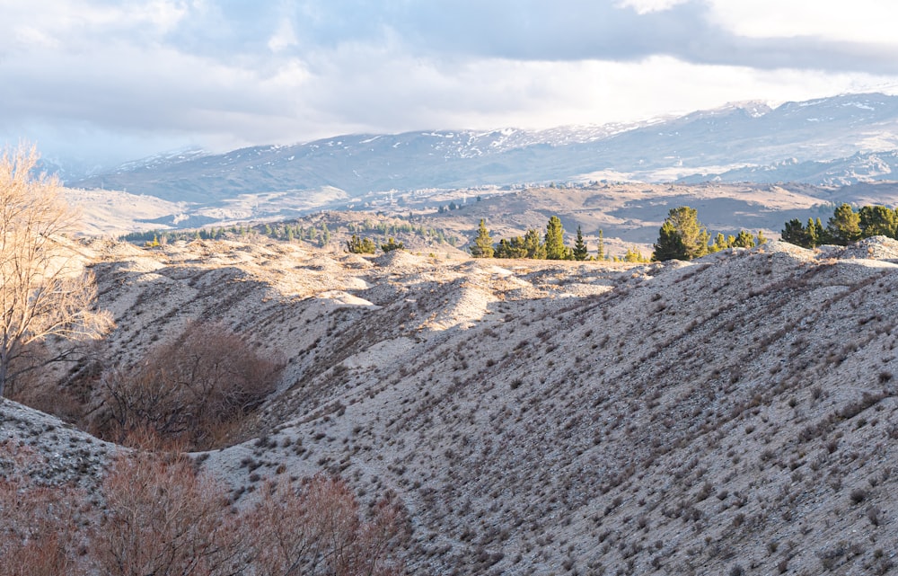 a view of a mountain range with trees and mountains in the background