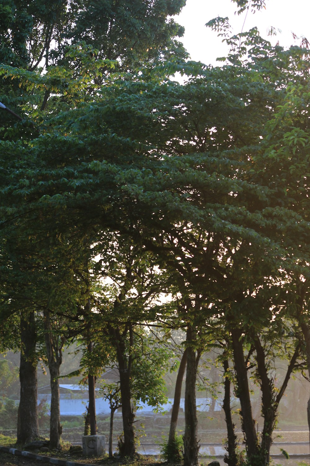 a group of people sitting on a bench in a park