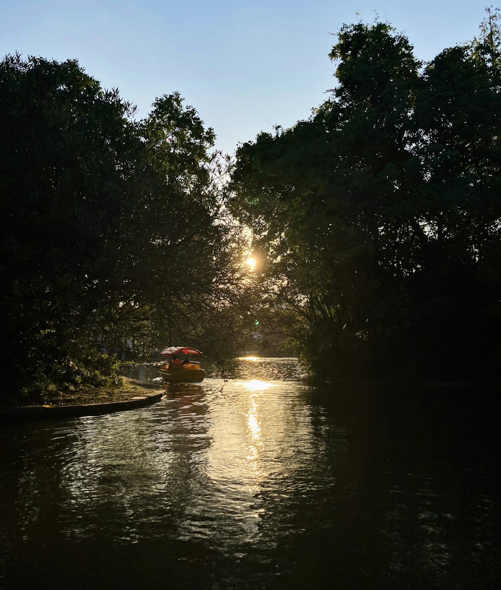 a boat traveling down a river next to a forest