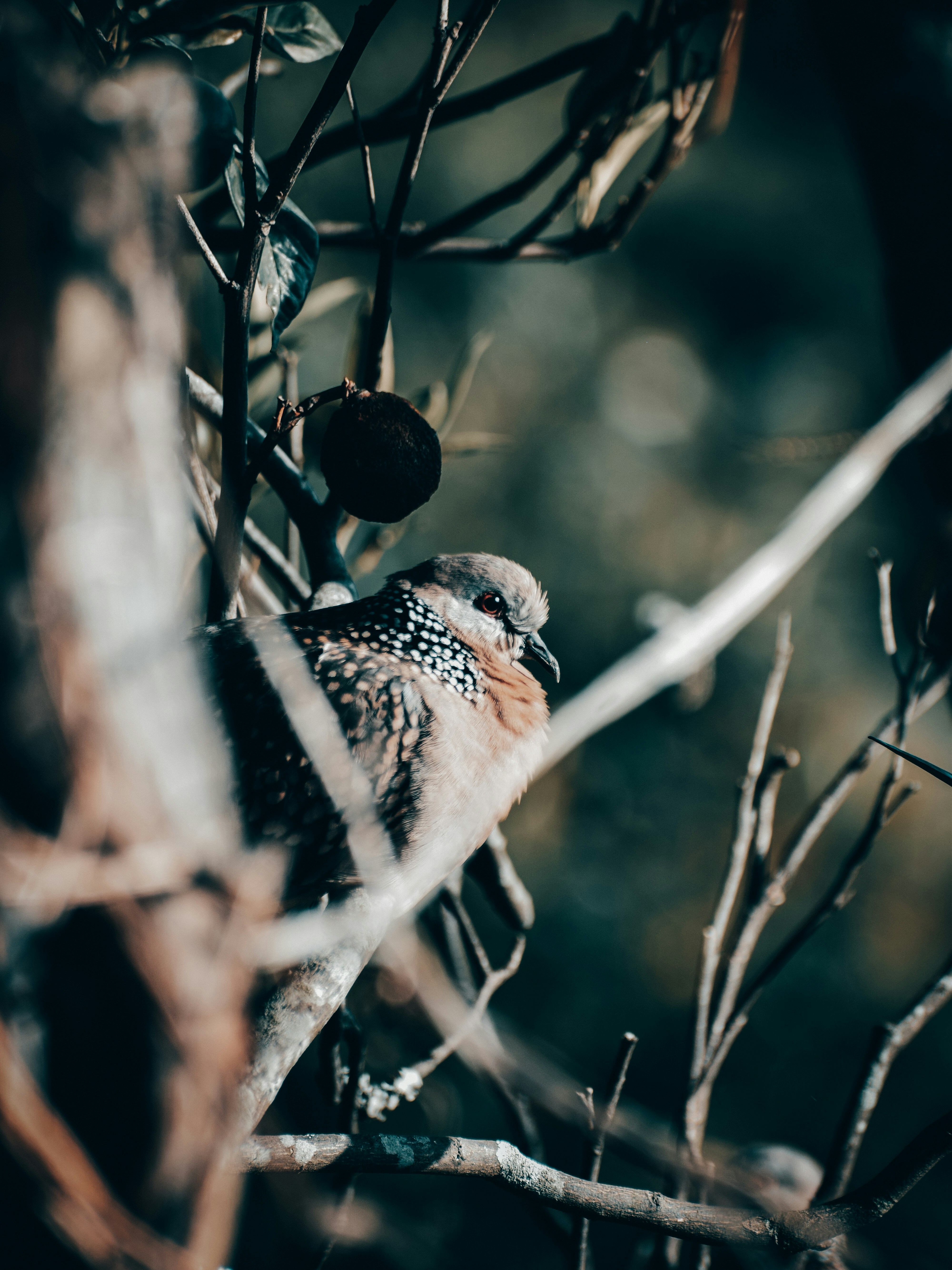 Photo by manjemnk17