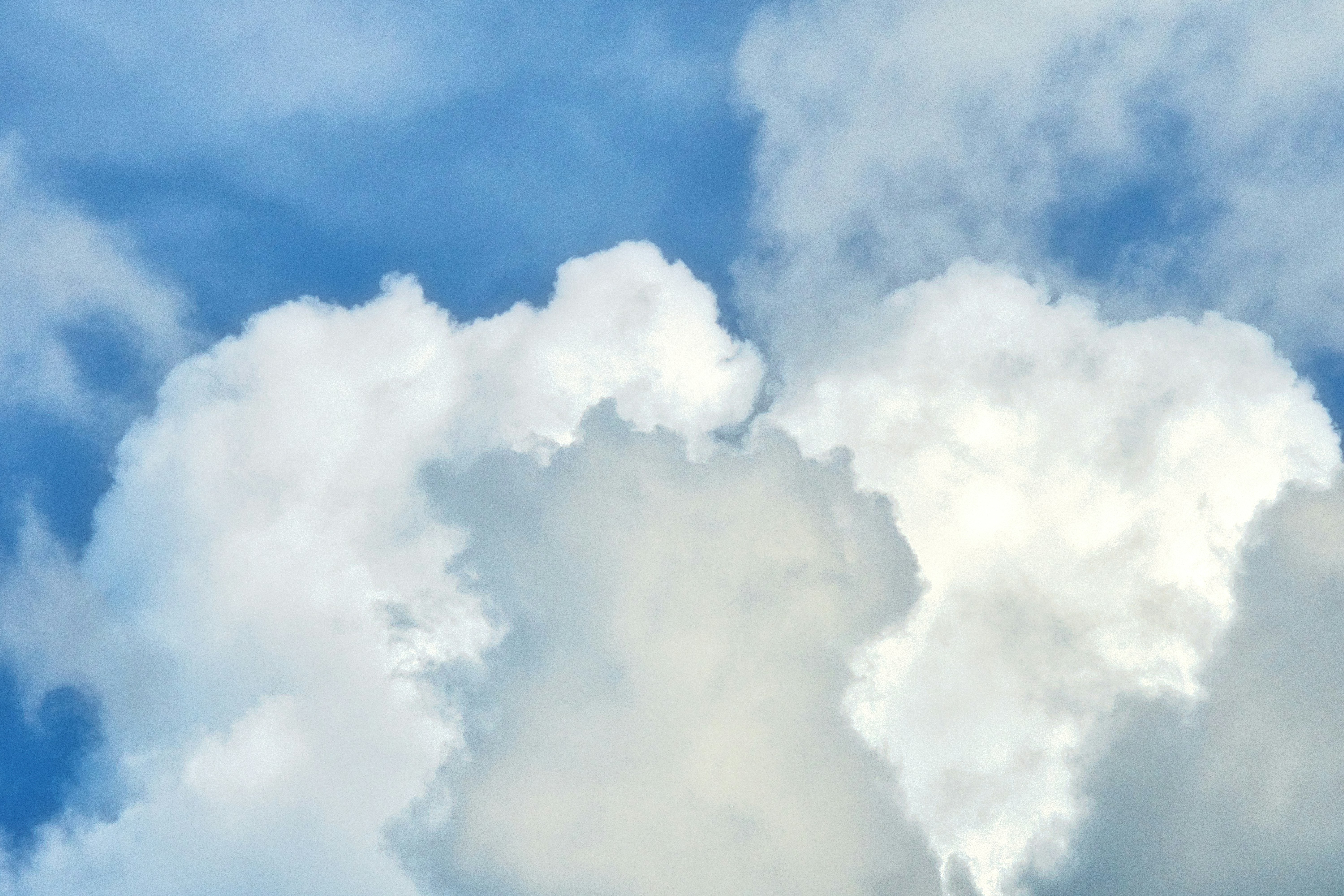 Photo by thomaskinto