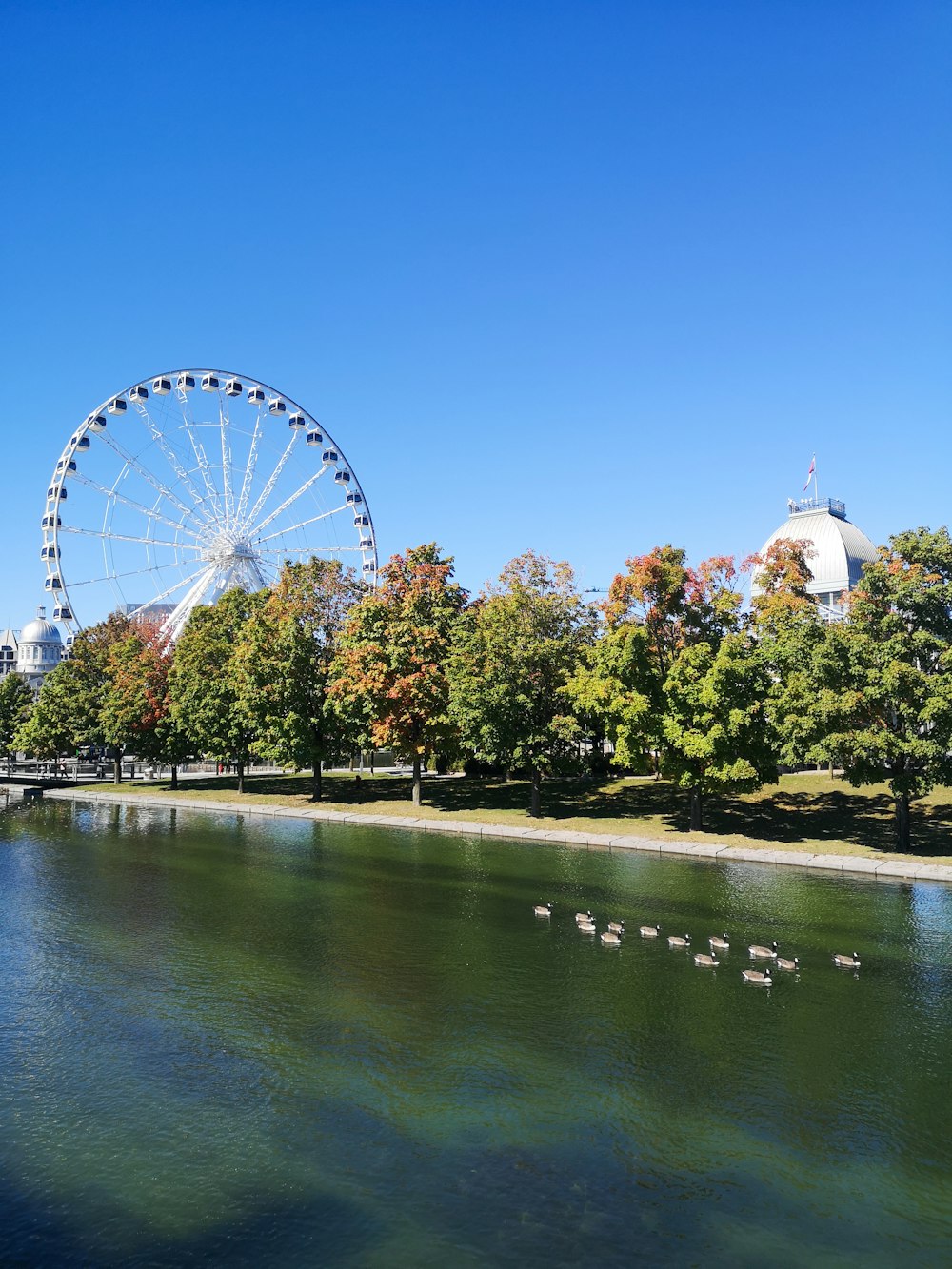 a large ferris wheel sitting next to a body of water