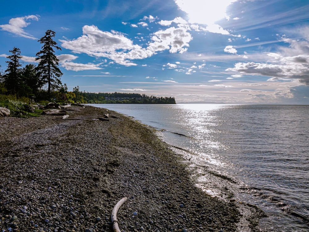 the sun shines brightly on a rocky shore