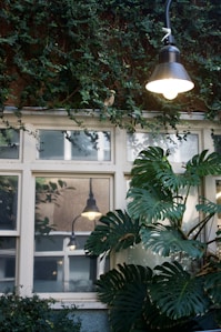 a lamp hanging from a ceiling next to a window