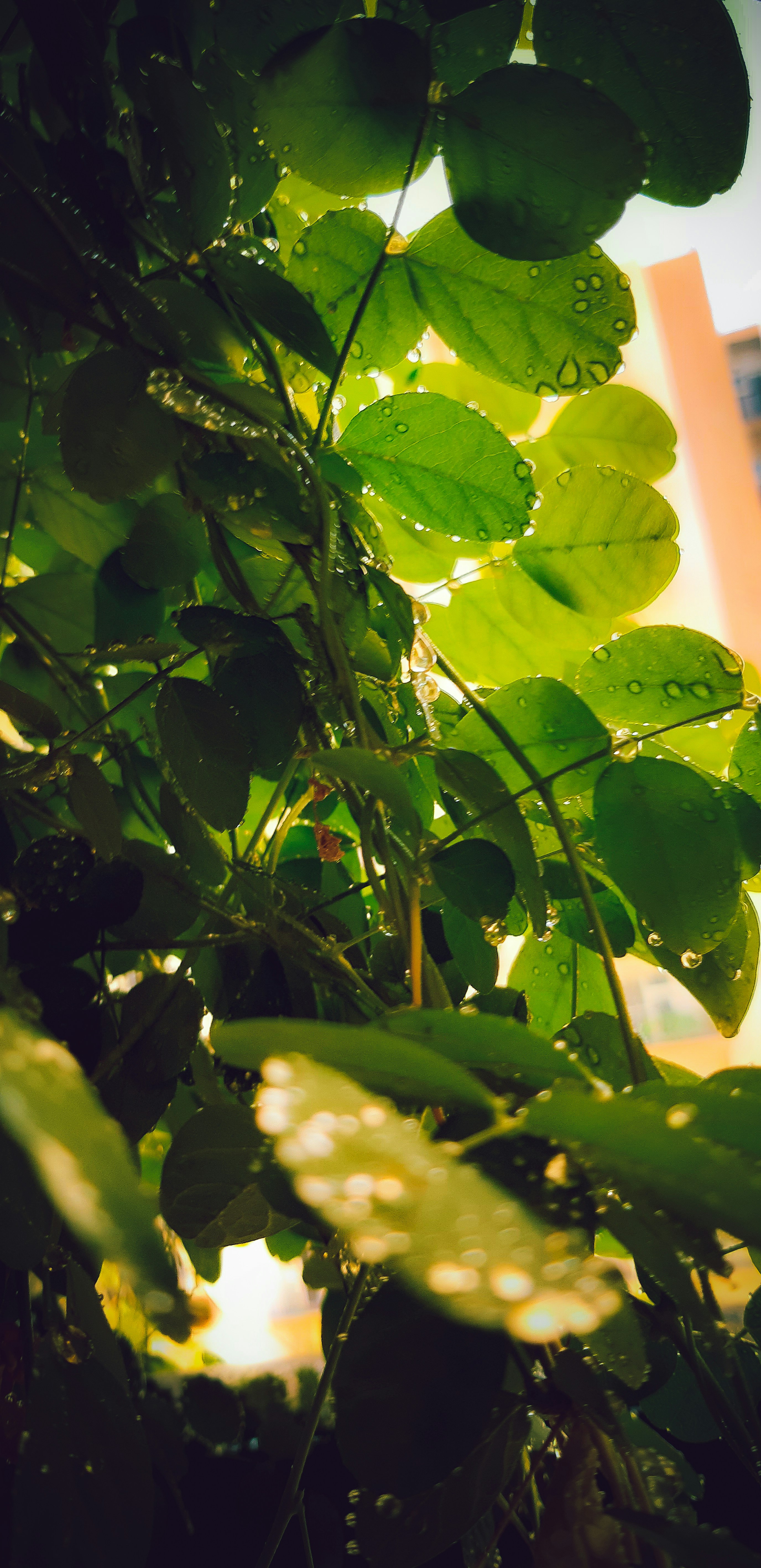 Photo by thevisualstoriesstudio