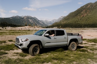 a truck parked in a field with mountains in the background