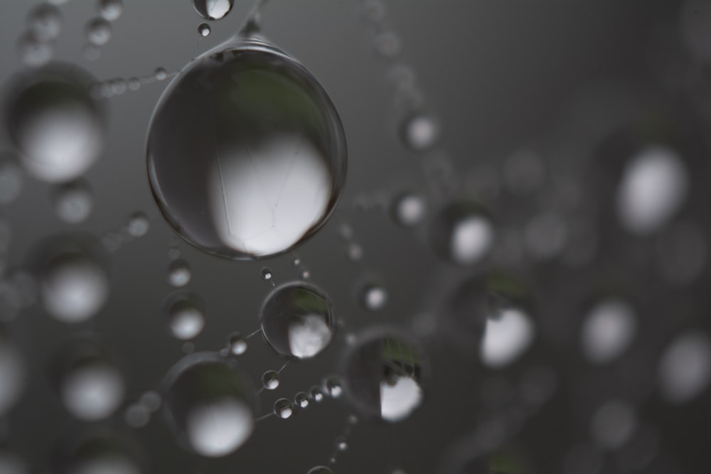 a close up of water droplets on a surface