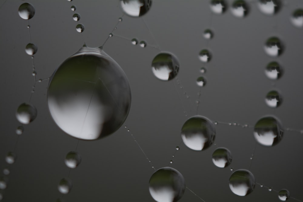 drops of water on a spider web on a dark background