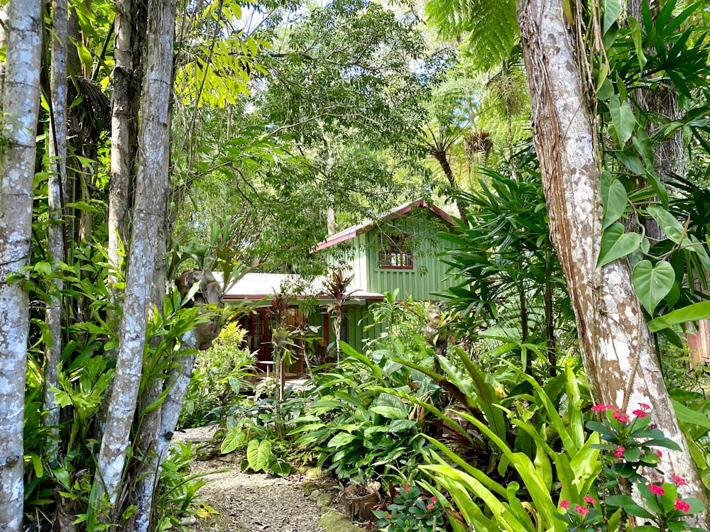 a green house surrounded by trees and plants