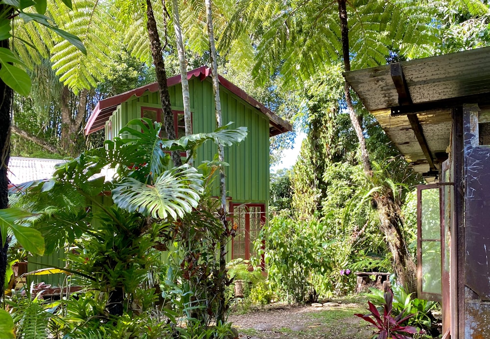 Un invernadero rodeado de árboles y plantas