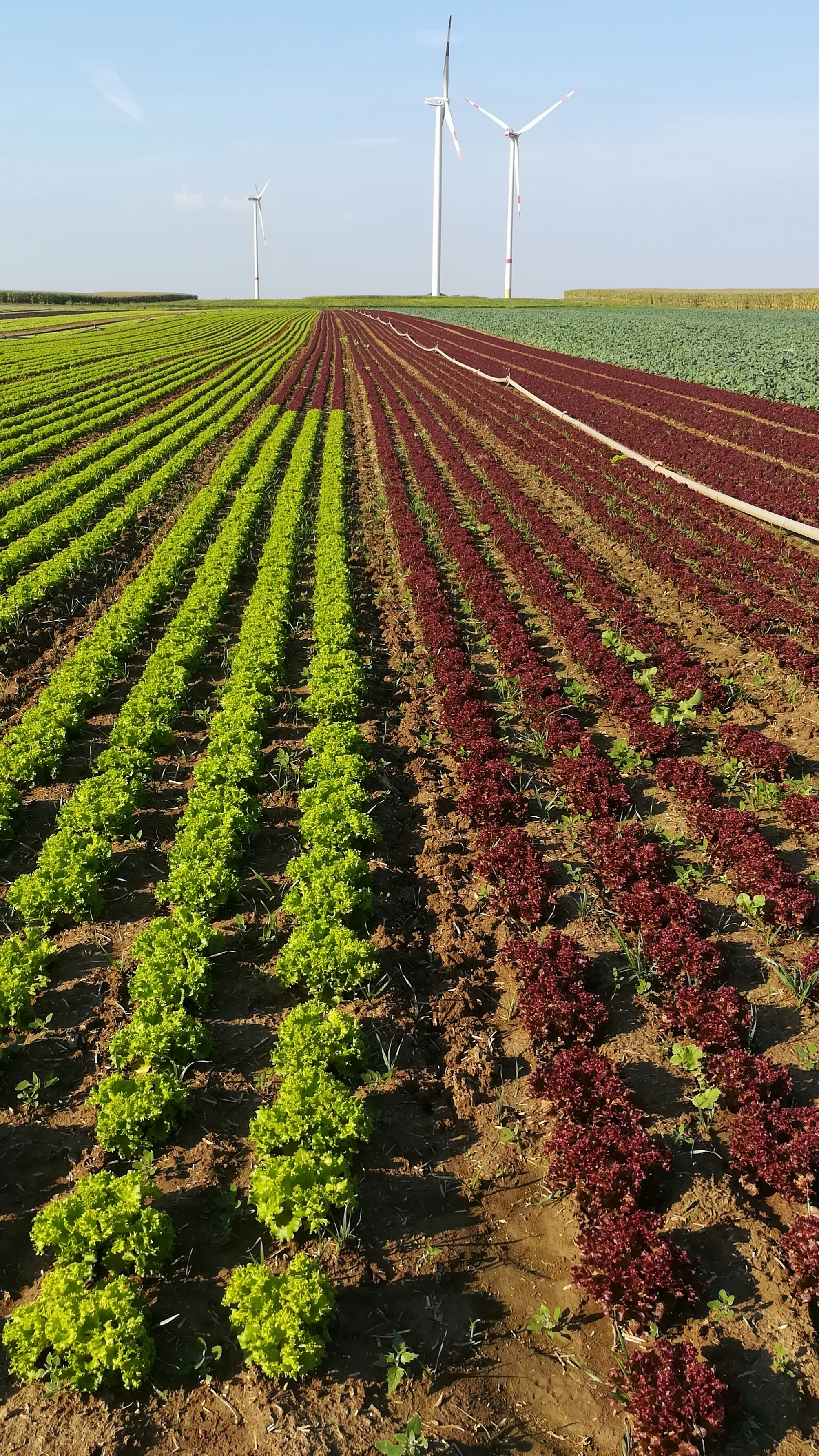 Photo by schreibmich