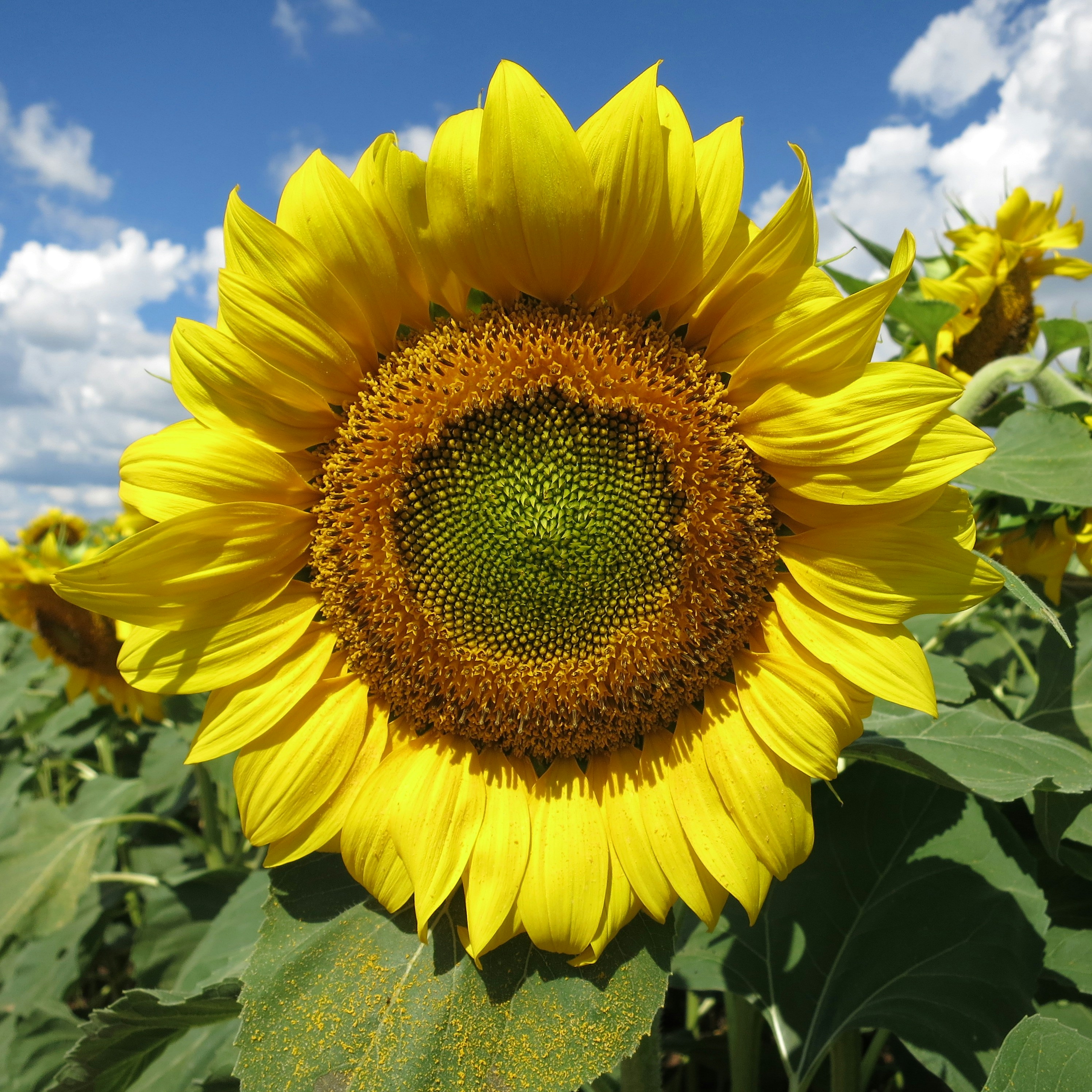 Photo by hollyrudolph