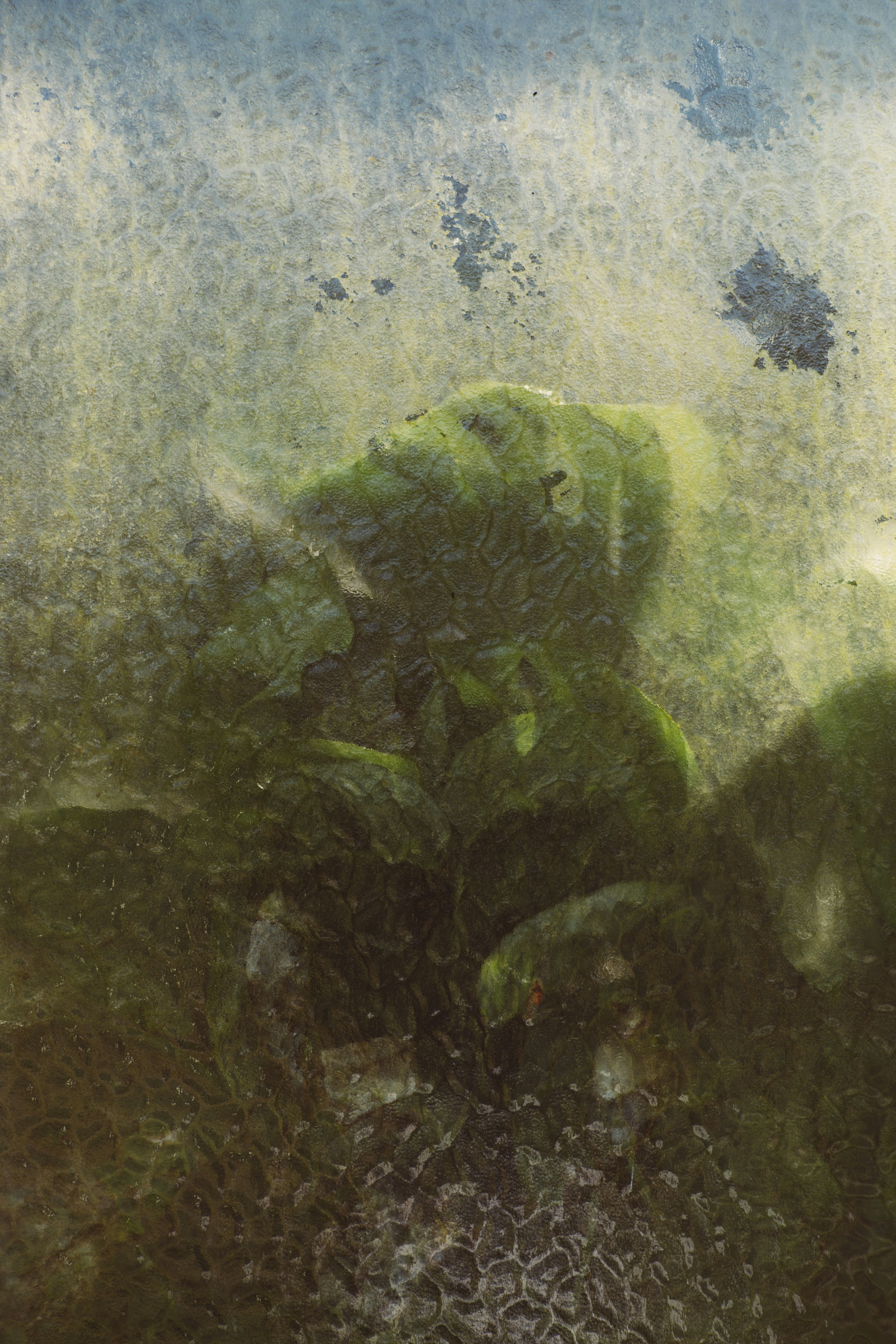 Photo by markusspiske