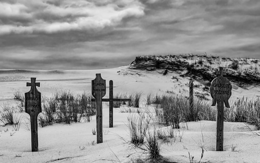 uma foto em preto e branco de cruzes na neve