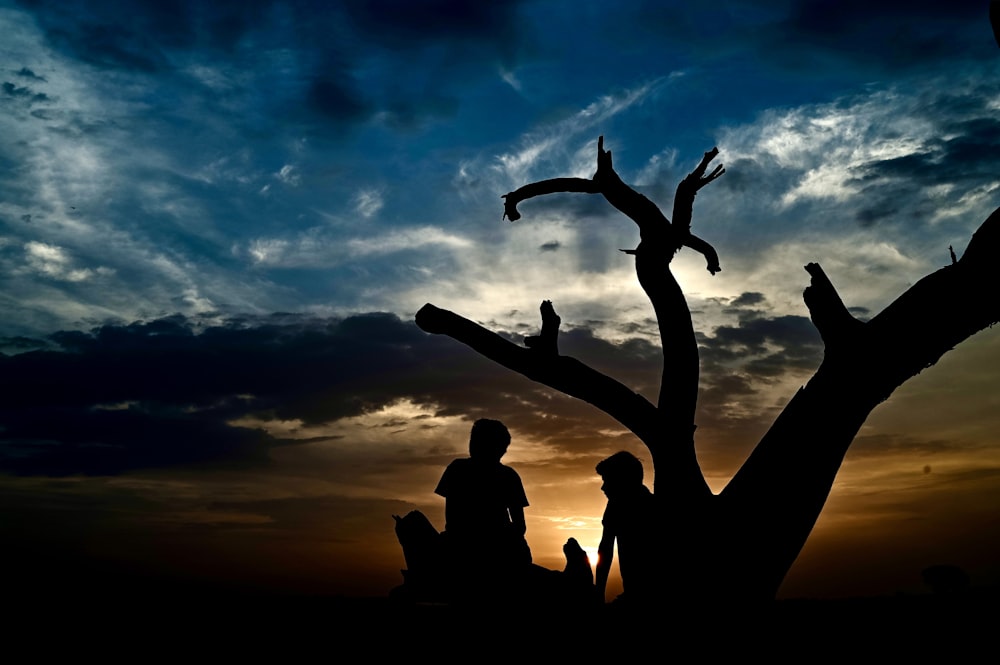 a couple of people sitting on top of a tree