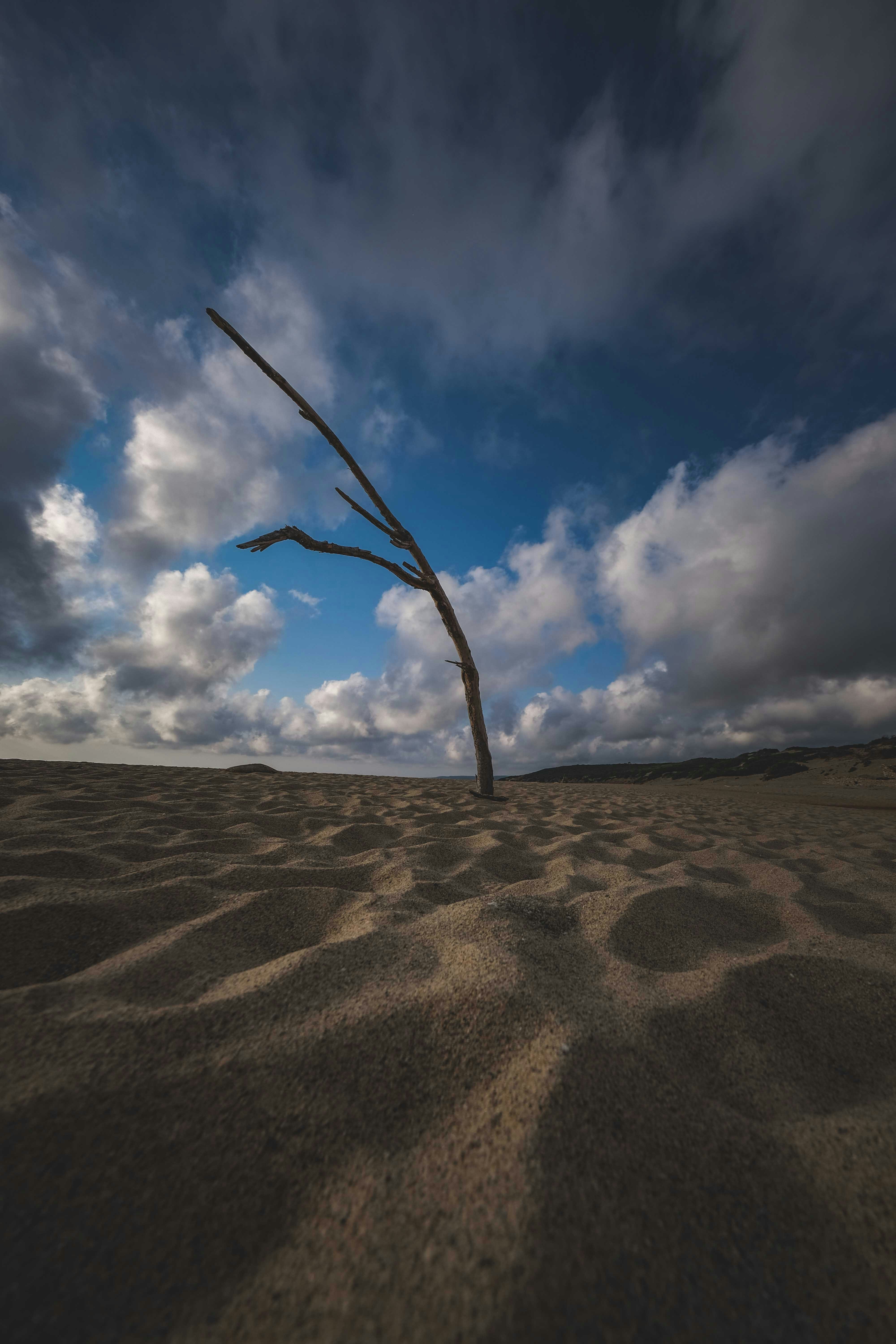 Photo by francesco_ungaro