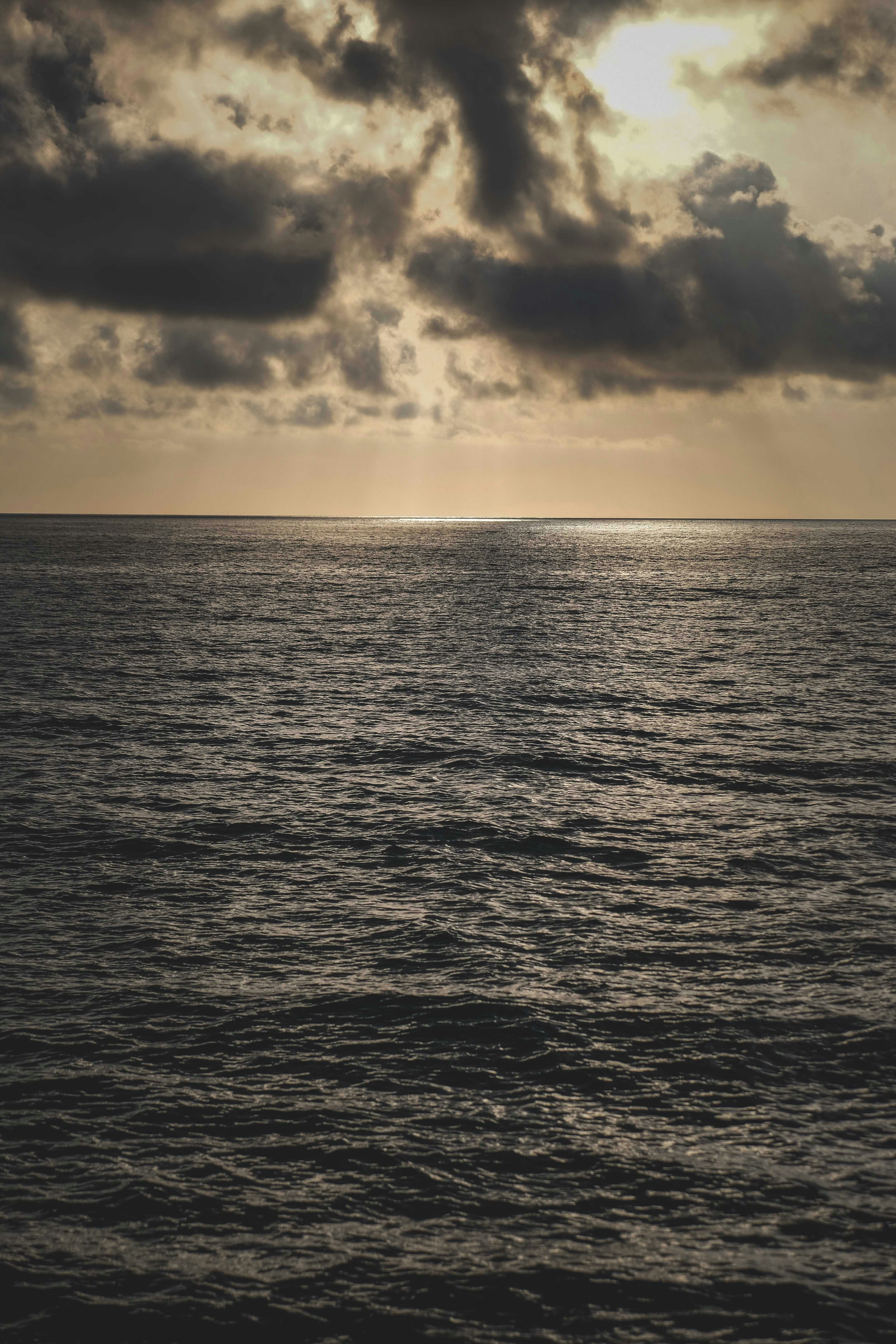 Photo by francesco_ungaro