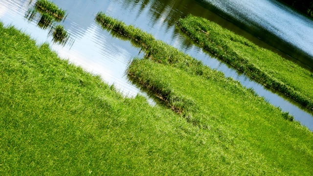Drainage Solutions: Solving Standing Water and Swampy Lawns