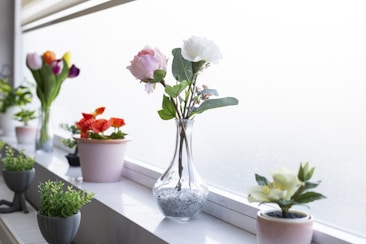 Several potted plants are placed on a windowsill, including vibrant flowers and small green plants. A glass vase with a pair of blooming flowers is prominently featured, with light streaming in from the frosted window.