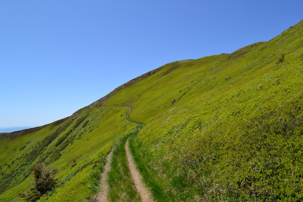 una strada sterrata che sale su una collina erbosa