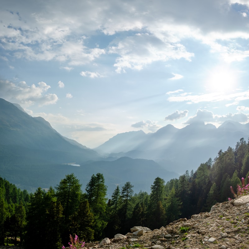 Cover Image for ADHD-friendly Meditation & Breathwork Workshop