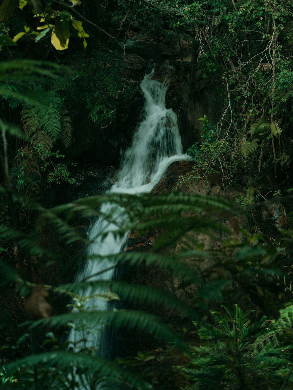 a waterfall in the middle of a jungle