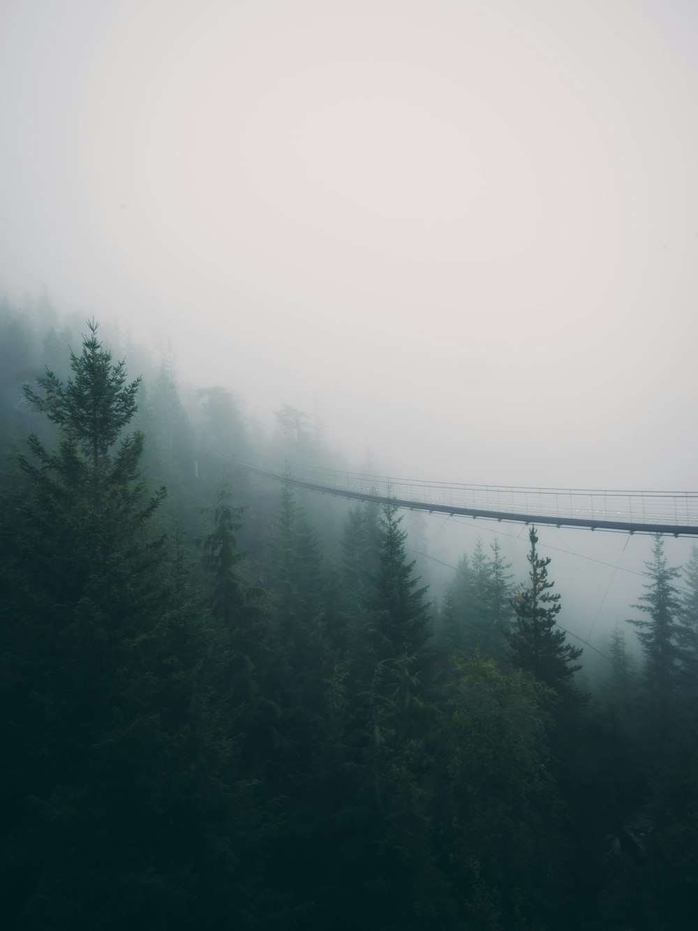 a suspension bridge in the middle of a foggy forest