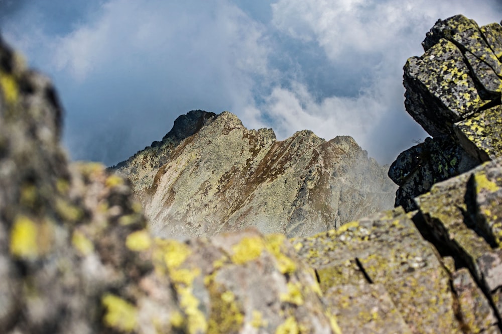 a view of the top of a mountain from below