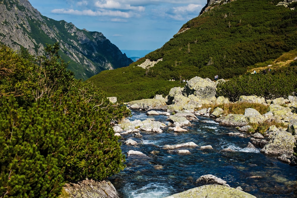 a river running through a lush green valley