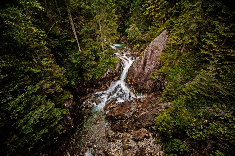 a small waterfall in the middle of a forest