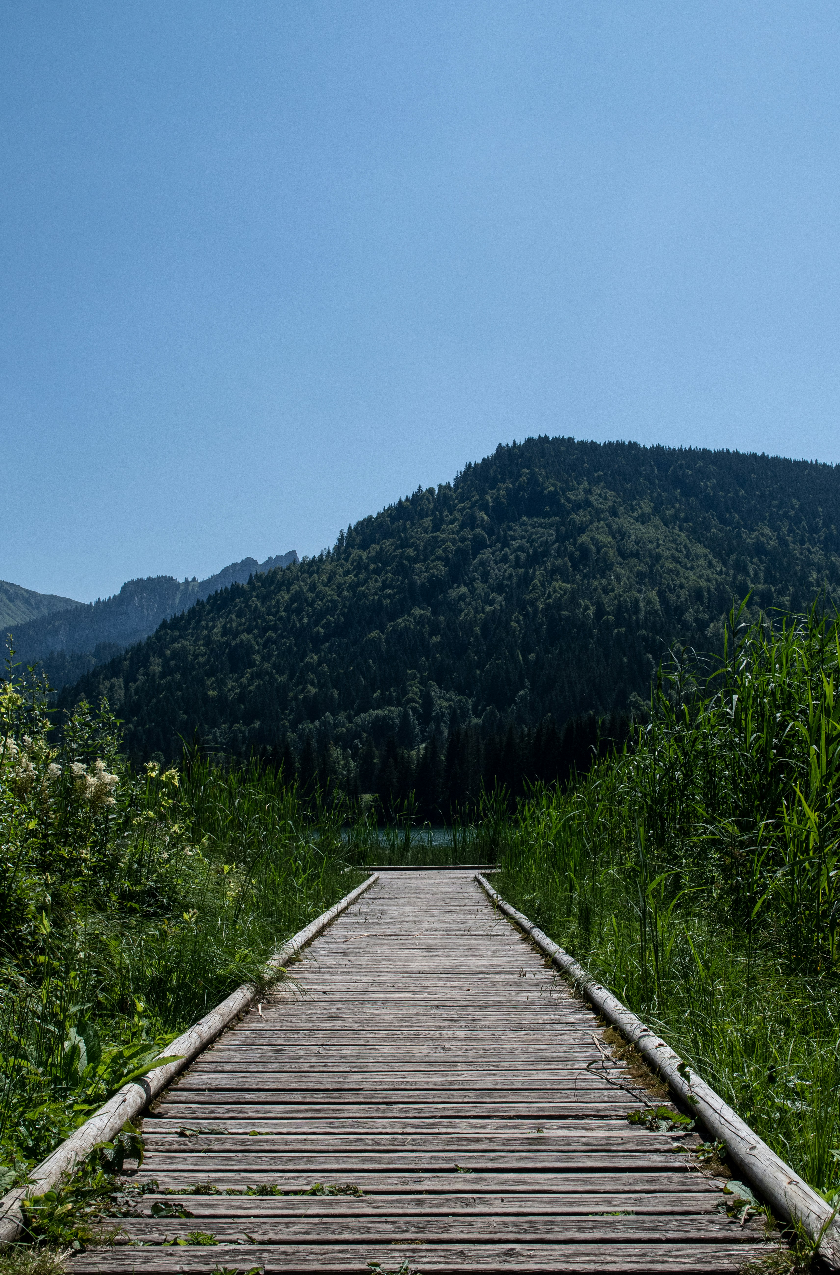 Horseshoe Lake Trail photo 2