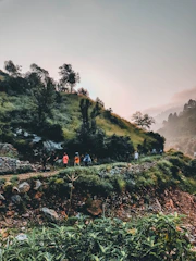 A group hiking through the lush Var Valley, discussing AI concepts amidst the greenery.