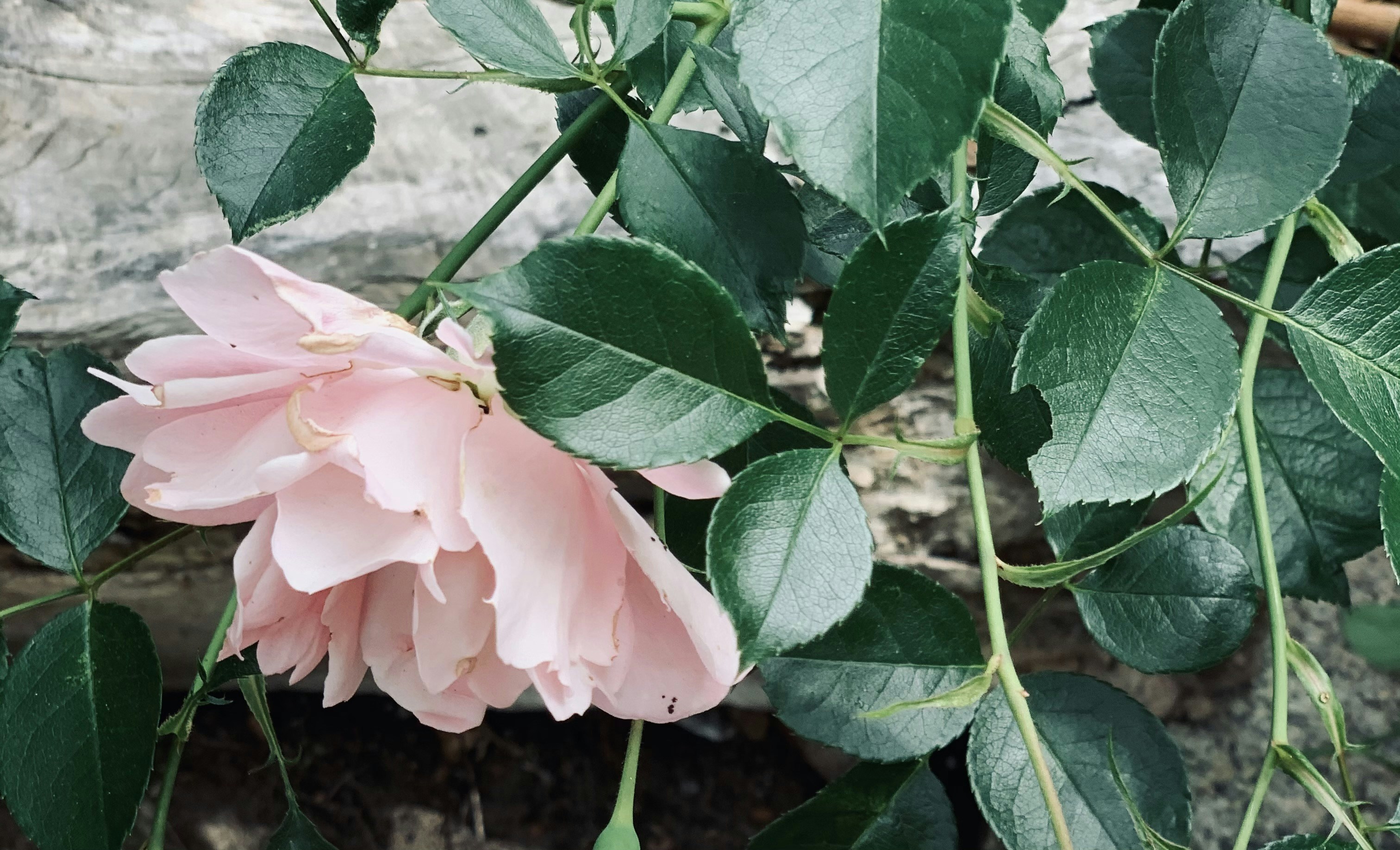 Margaret River – Geography & Spatial Structure